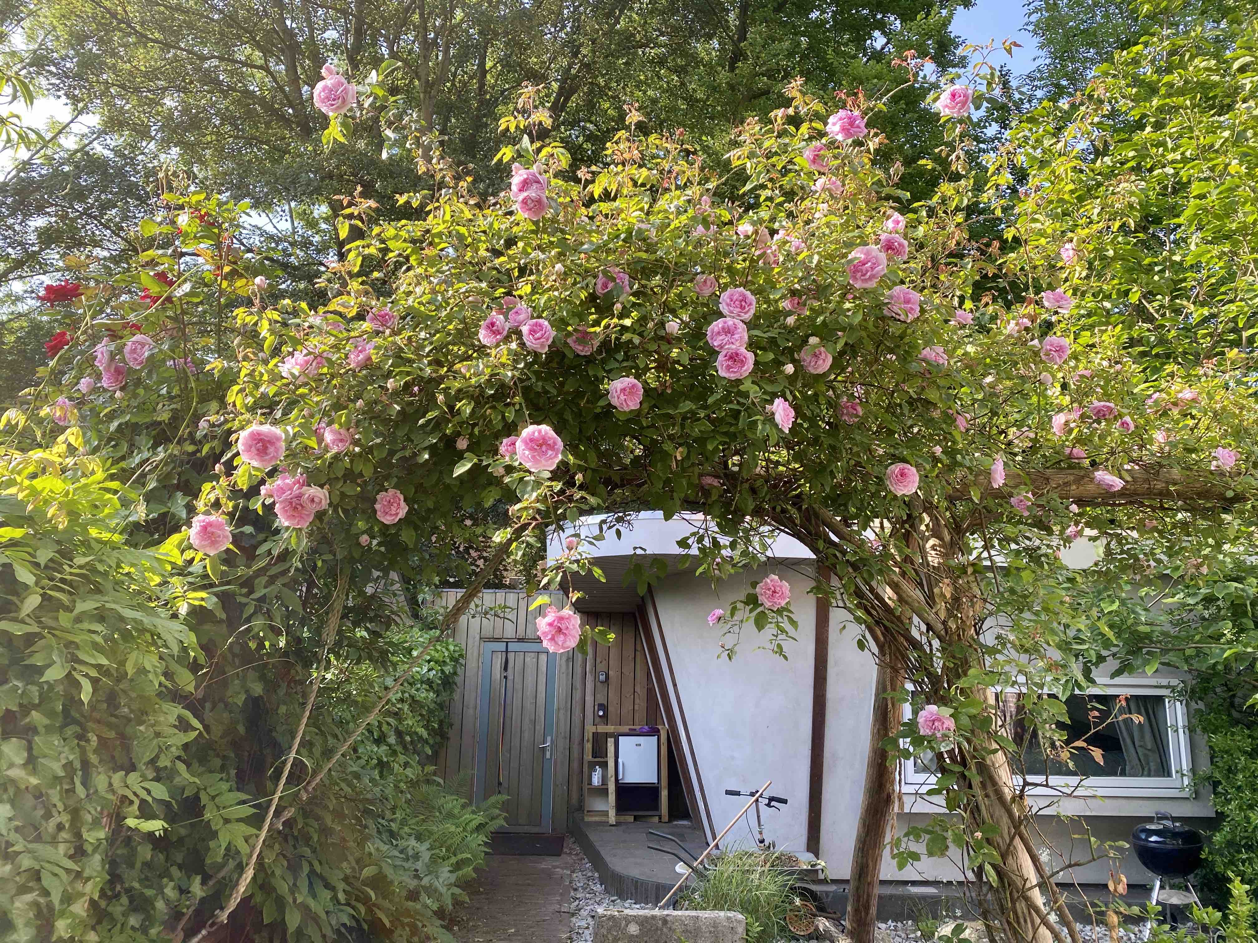 Subwaystation Park B&B Stand alone. 100% privacy. — Amsterdam stay
