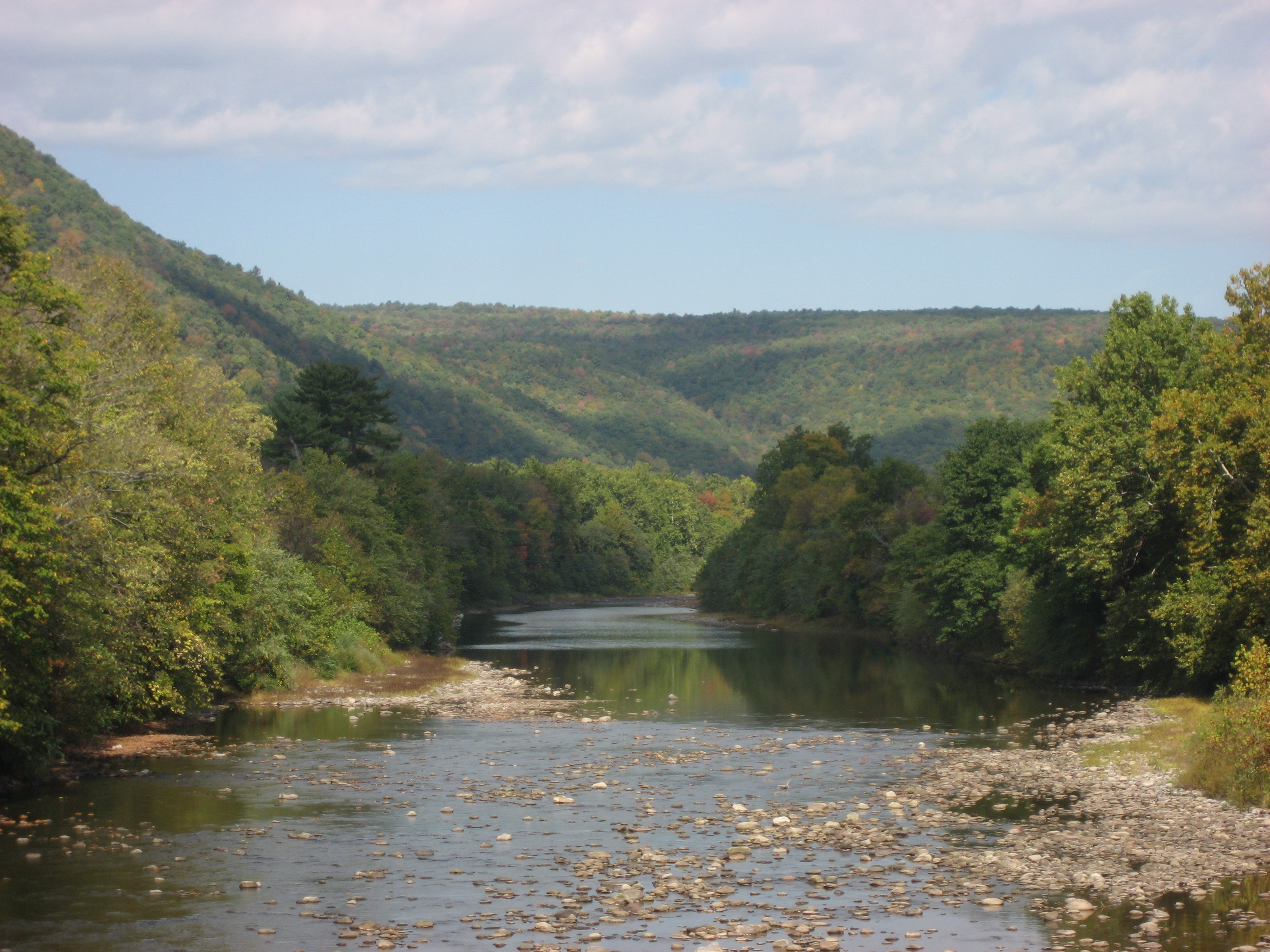 Creekside ManorA Retreat on the Loyalsock Creek Houses for Rent in
