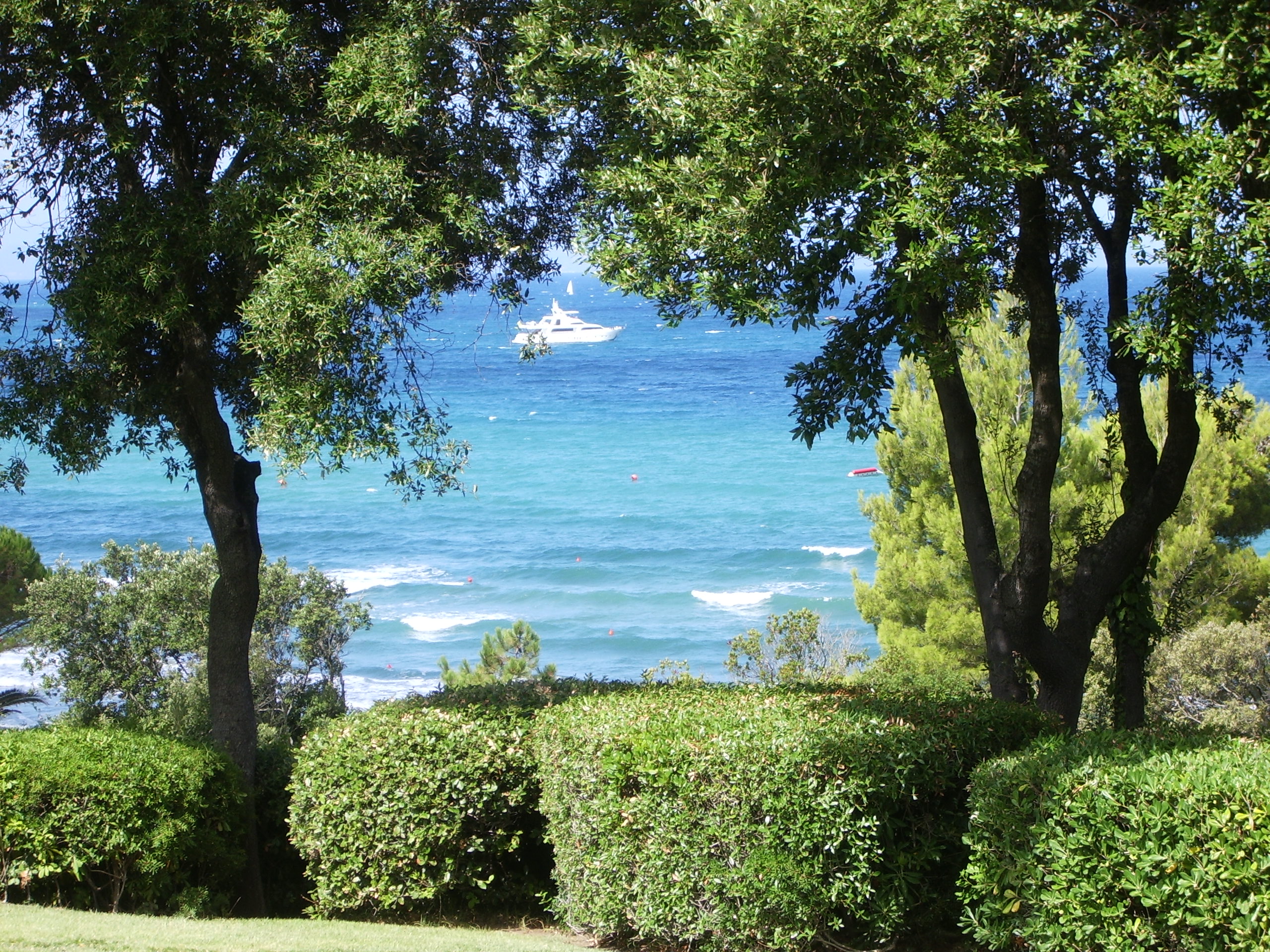 Hidden garden over the sea
