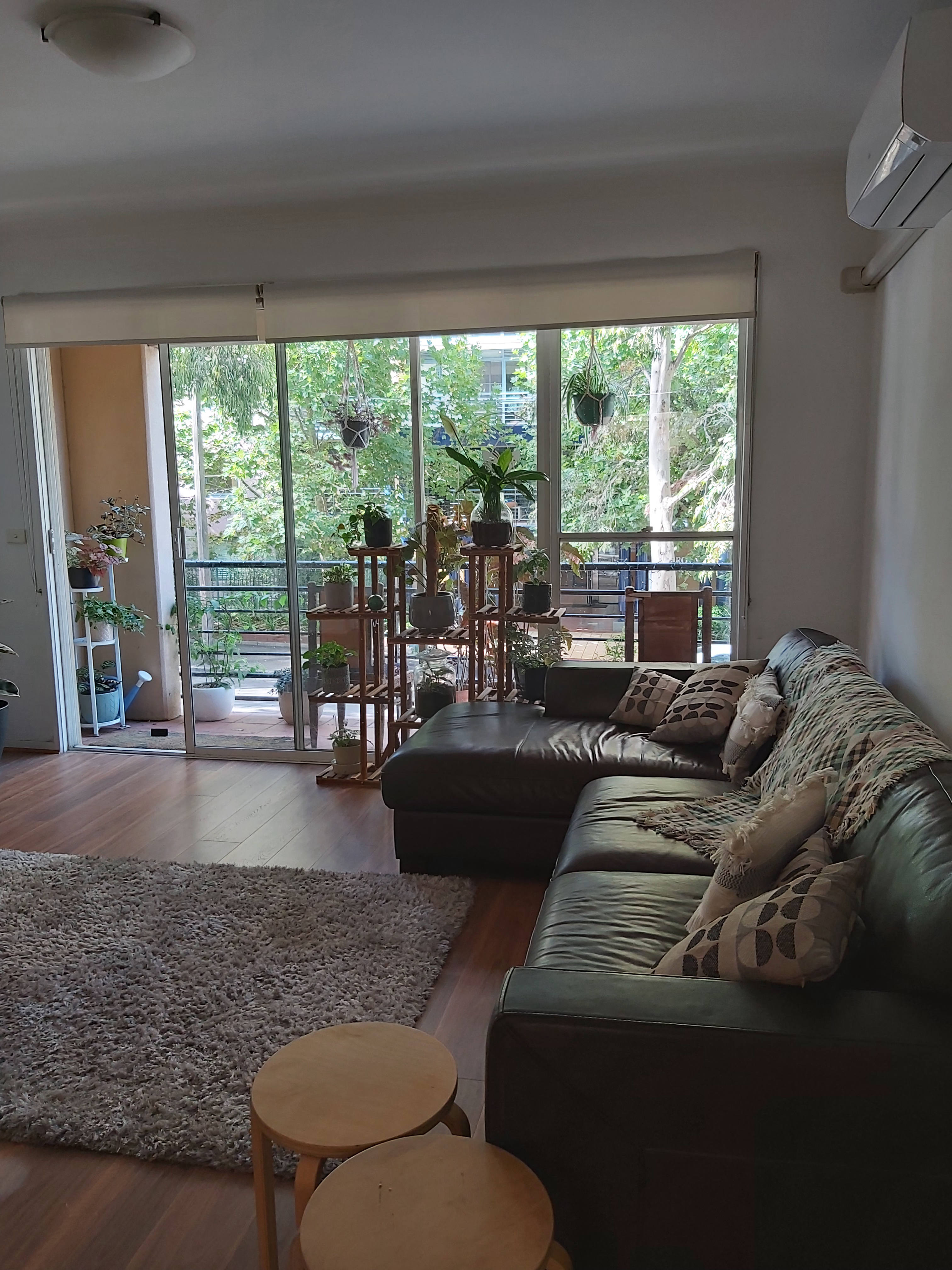 Spacious apartment  located near Flagstaff Gardens