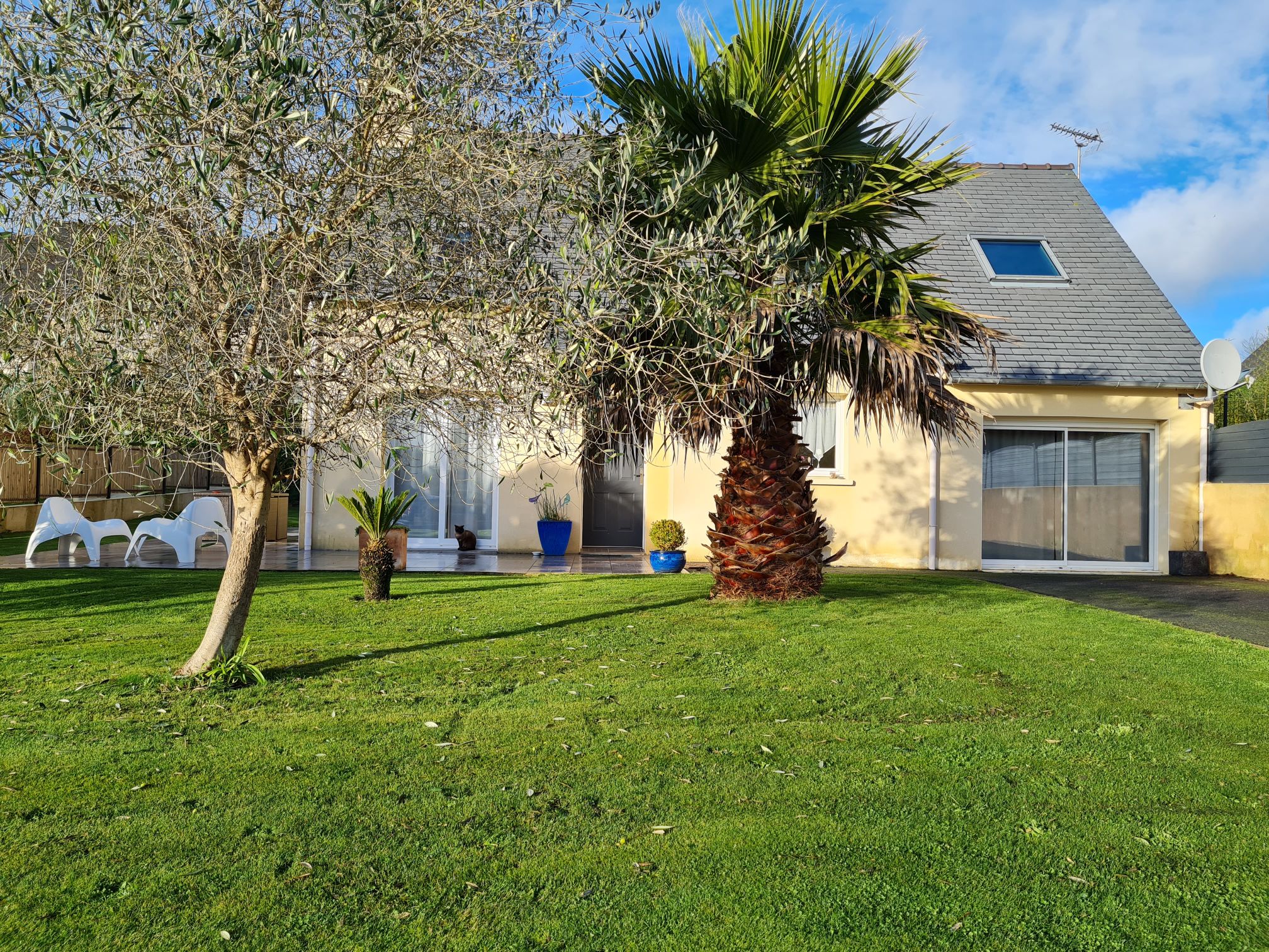 Maison