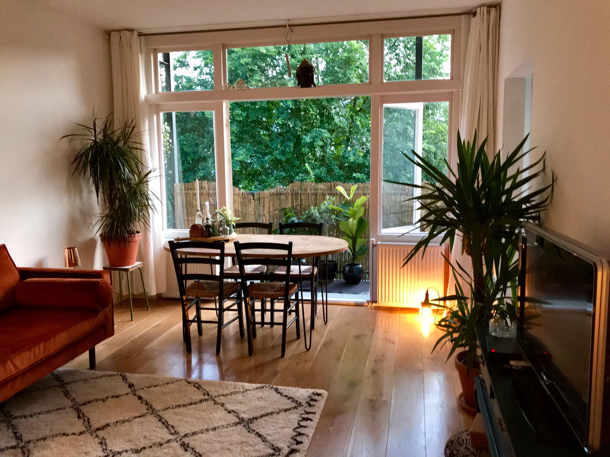 Cosy, quiet and light apartment — Amsterdam stay