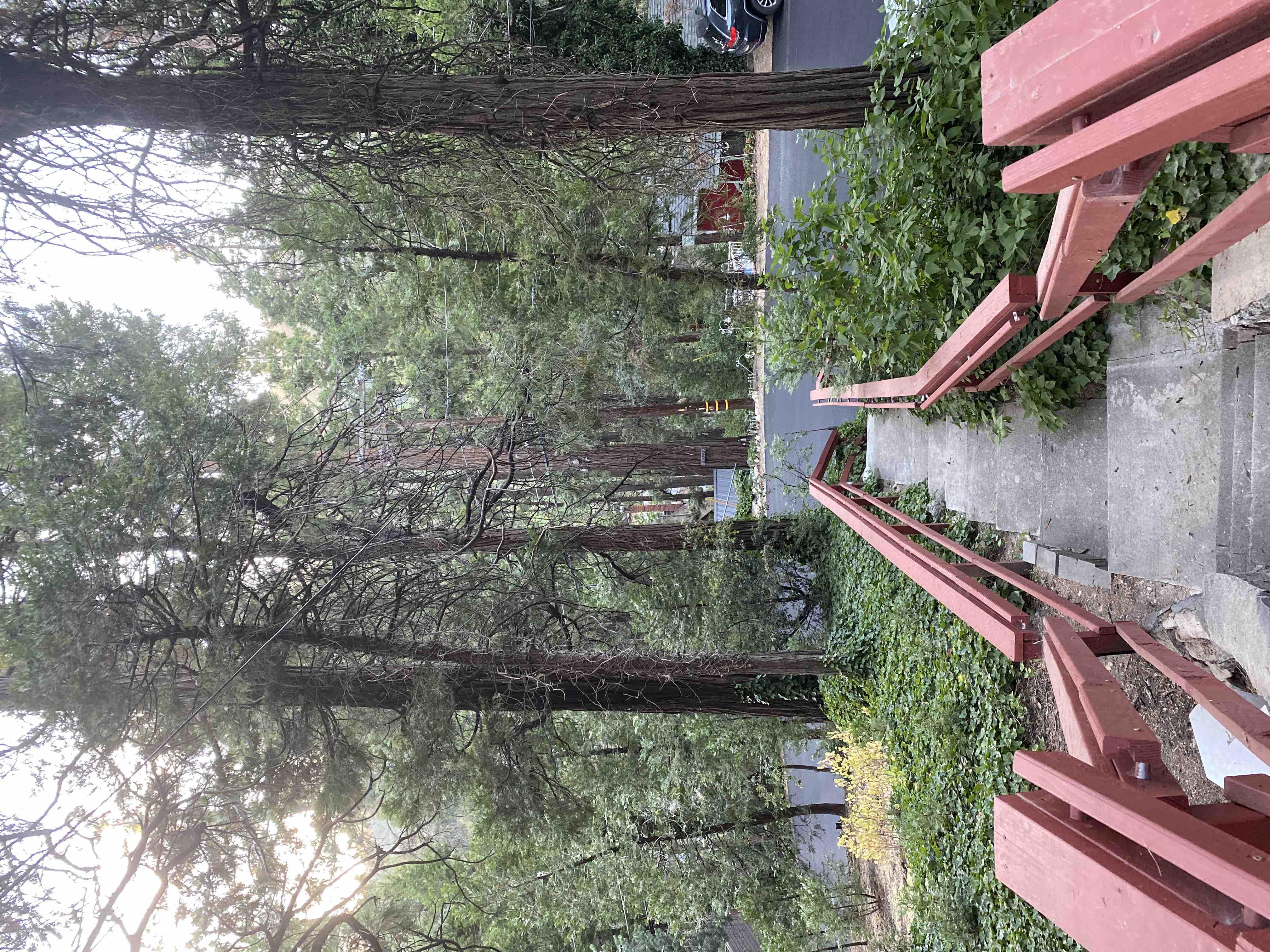 Vintage Cabin in the Woods Cabins for Rent in Crestline, California