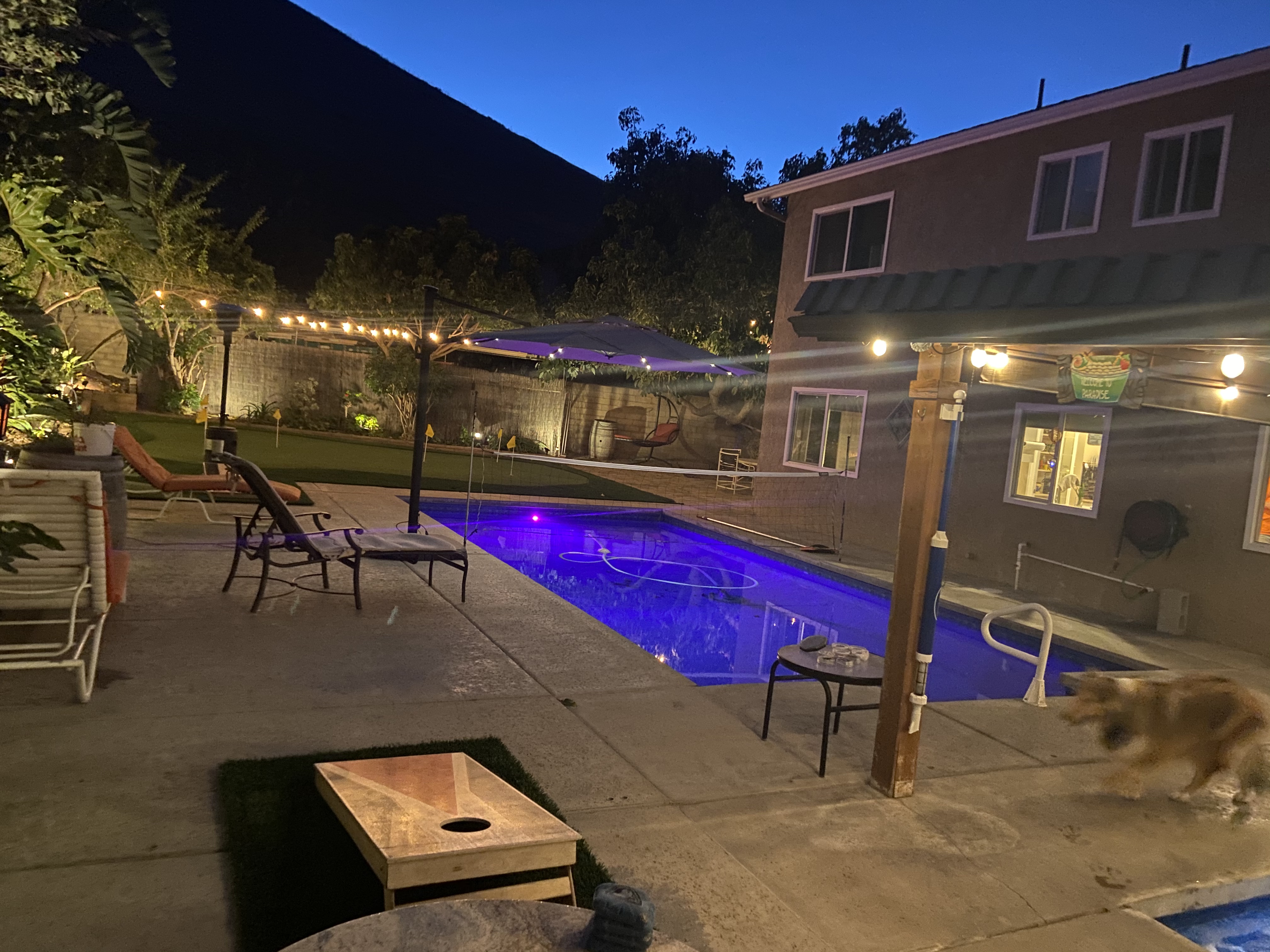 tommy bahama corn hole