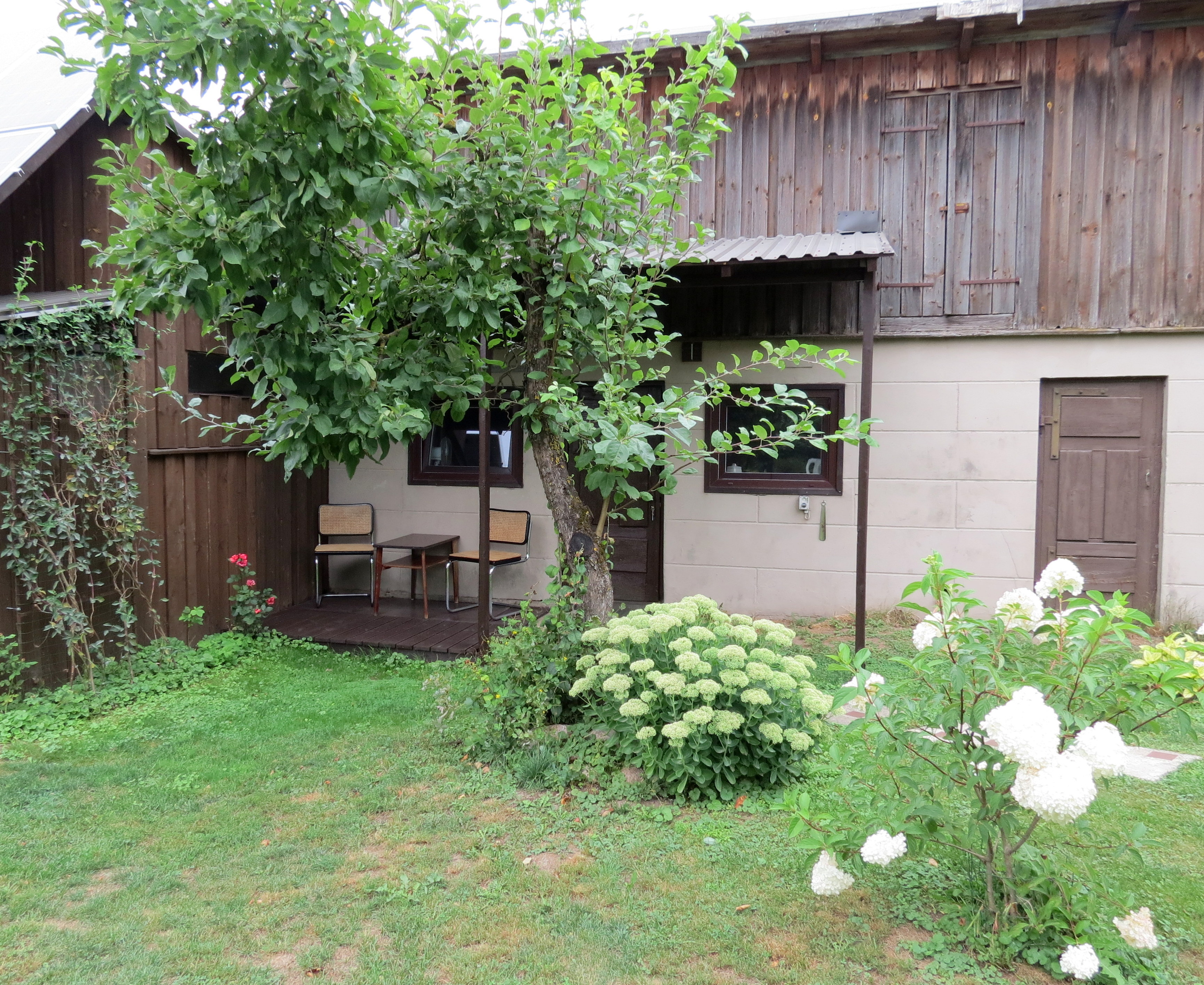 Separate apartment + free parking