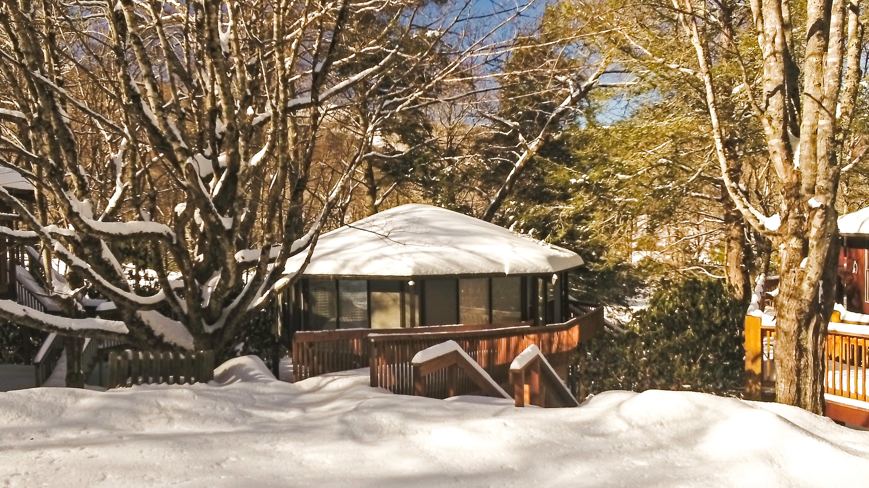 The Birdhouse is nestled on Sugar Mountain, NC Cabins for Rent in