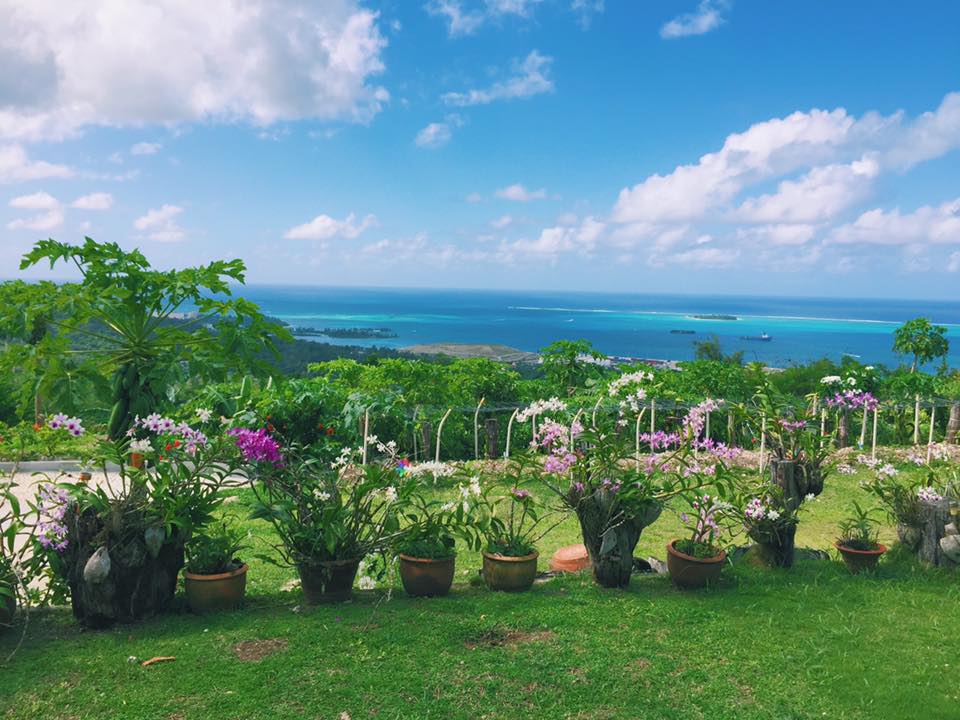 American Paradise House (Unit #1)