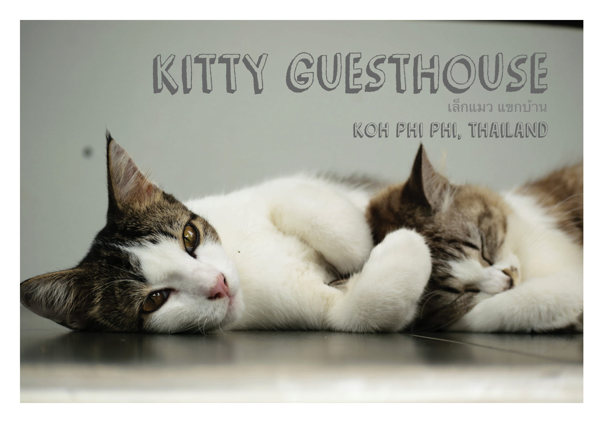 Kitty Guesthouse , Koh Phi Phi (Superior Room)