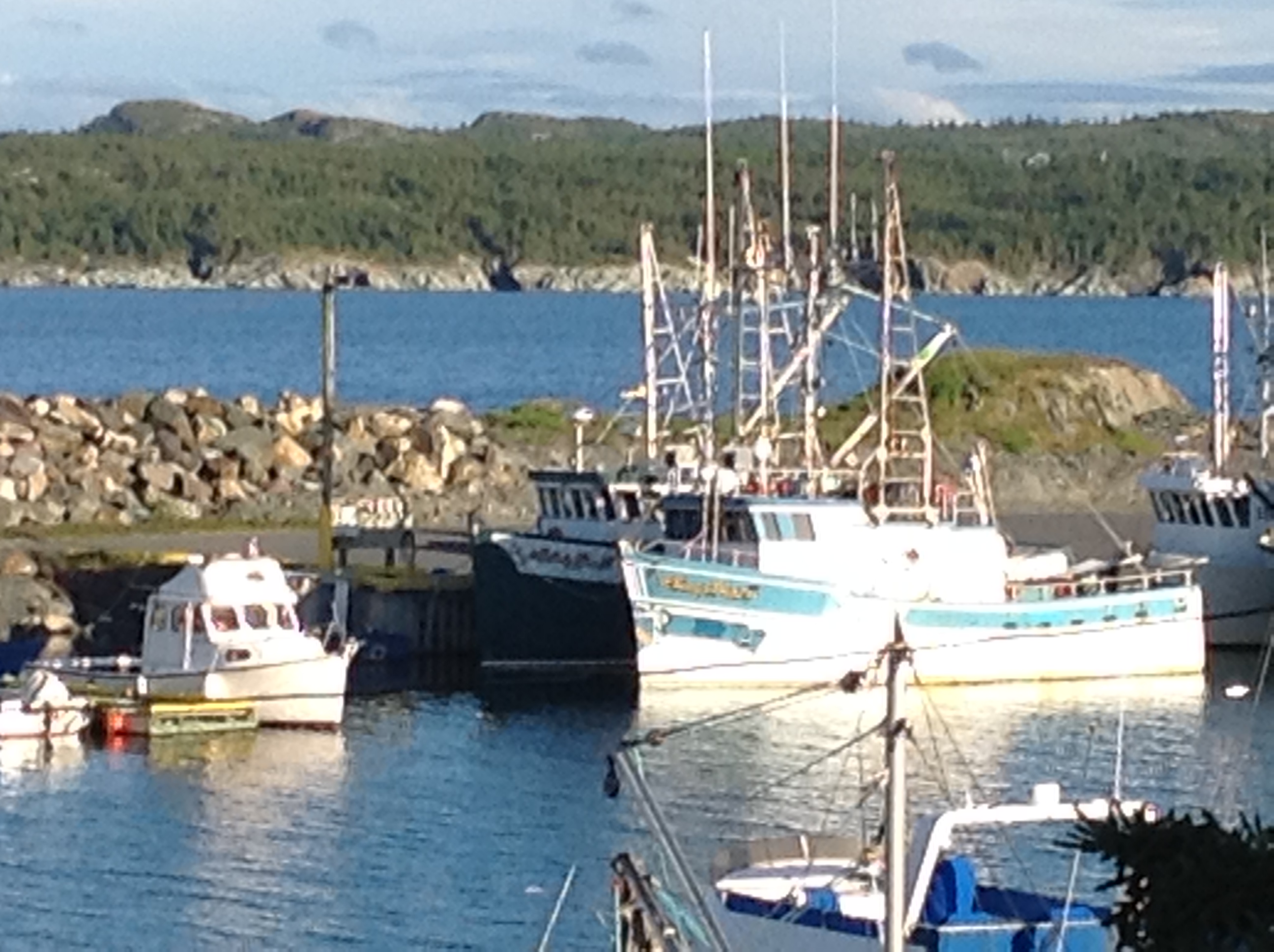 Port de Grave Beautiful home on the Atlantic Apartments for Rent in