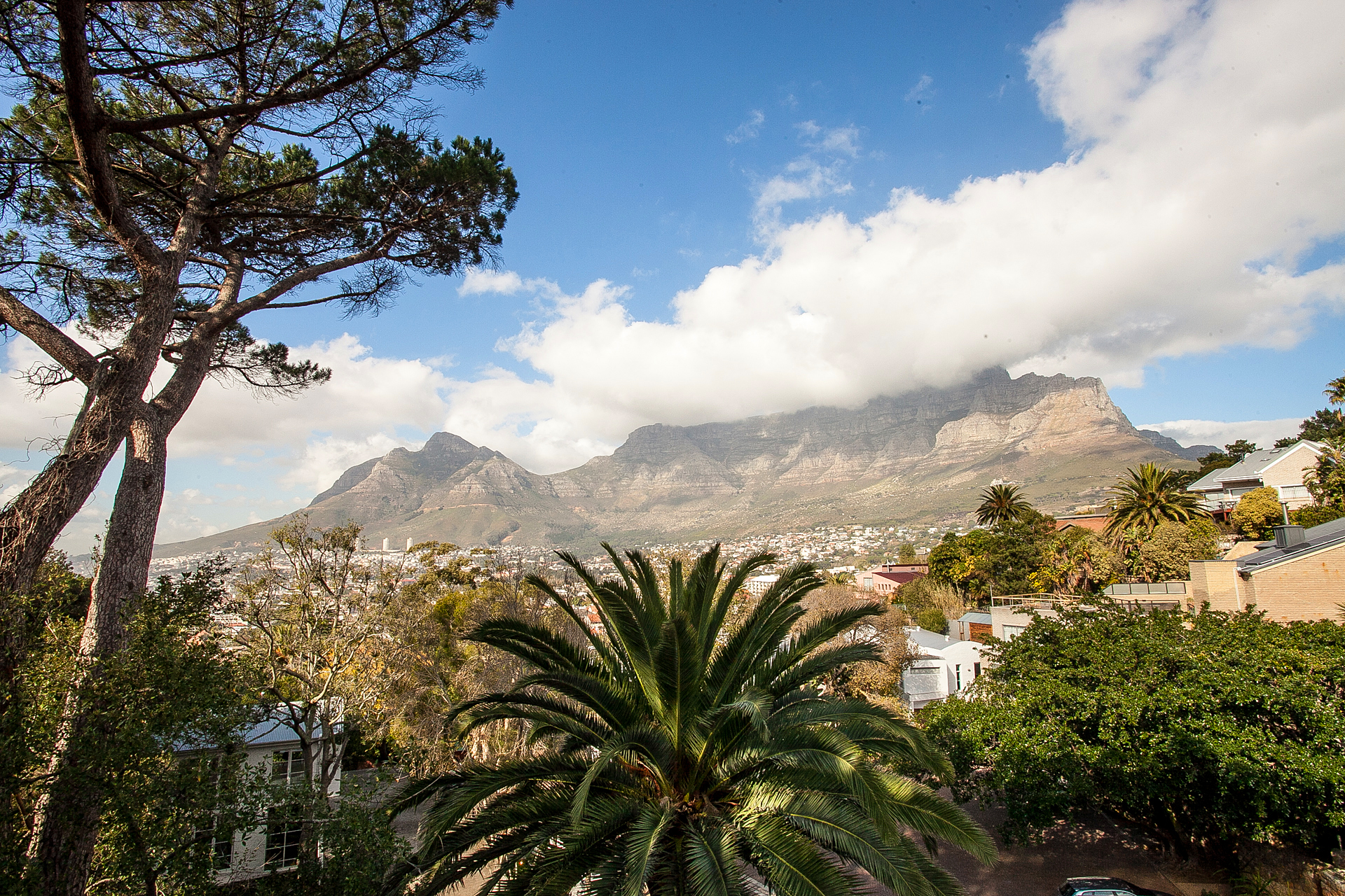 Stylish Suite with Beautiful Table Mountain Views