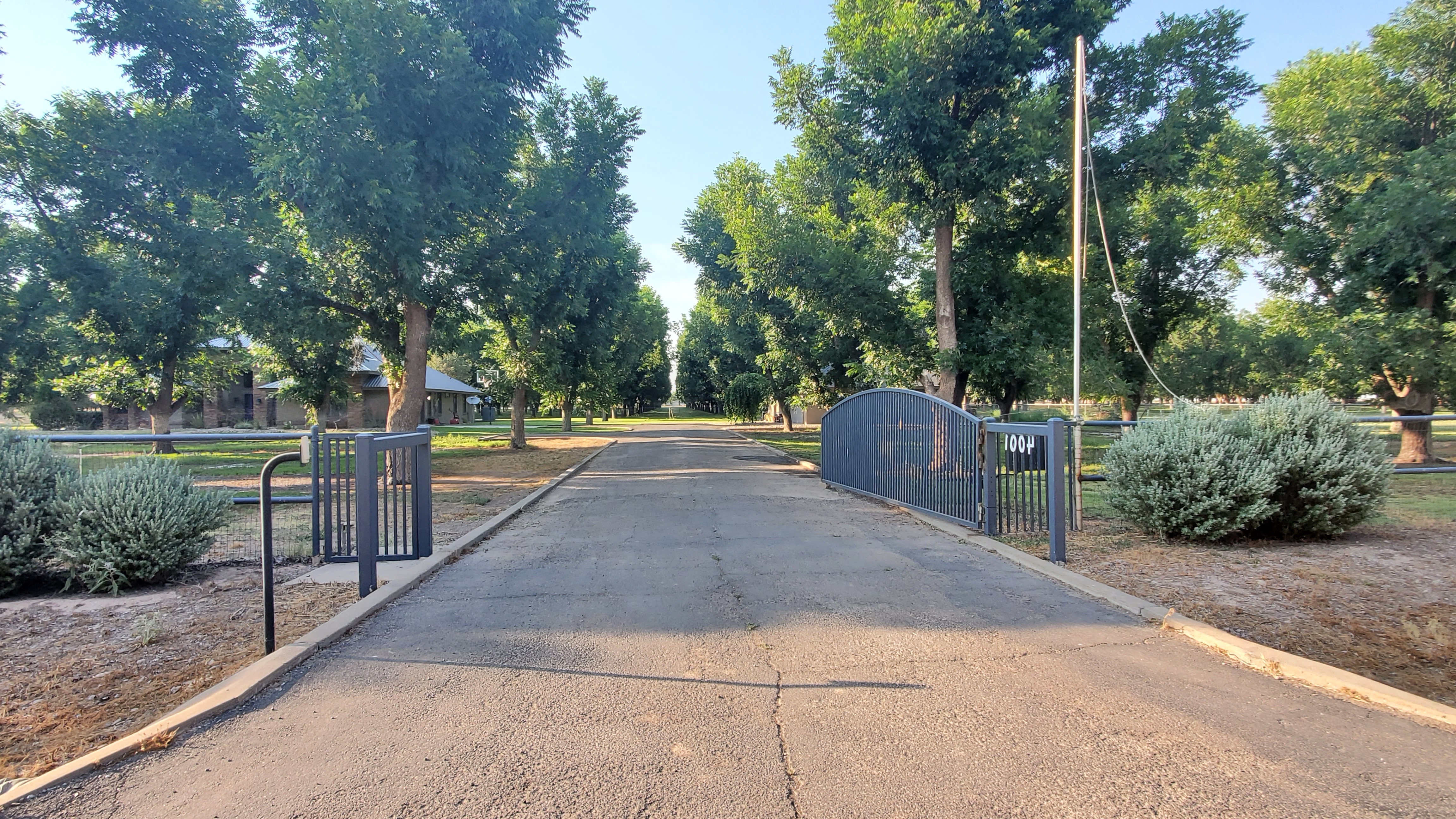 Mini Pecan Palace