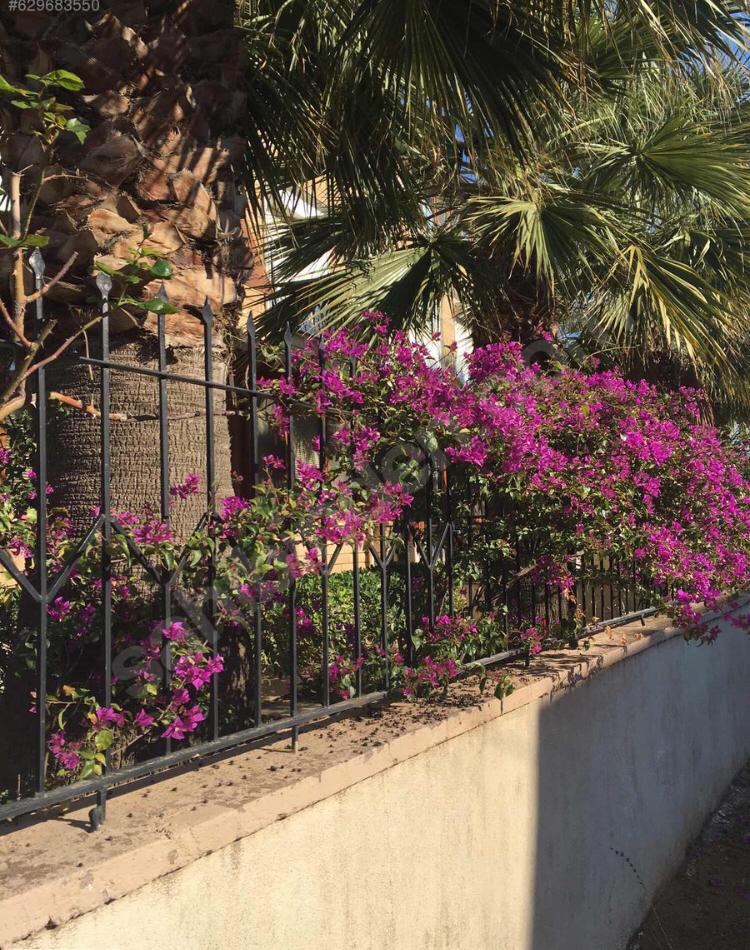 Ayvalik Sarımsaklı full eşyalı keyifli büyük villa Ayvalık şehrinde