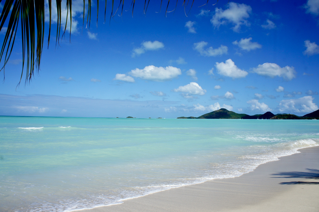 Caribbean Living - Best Beach Condo in Antigua