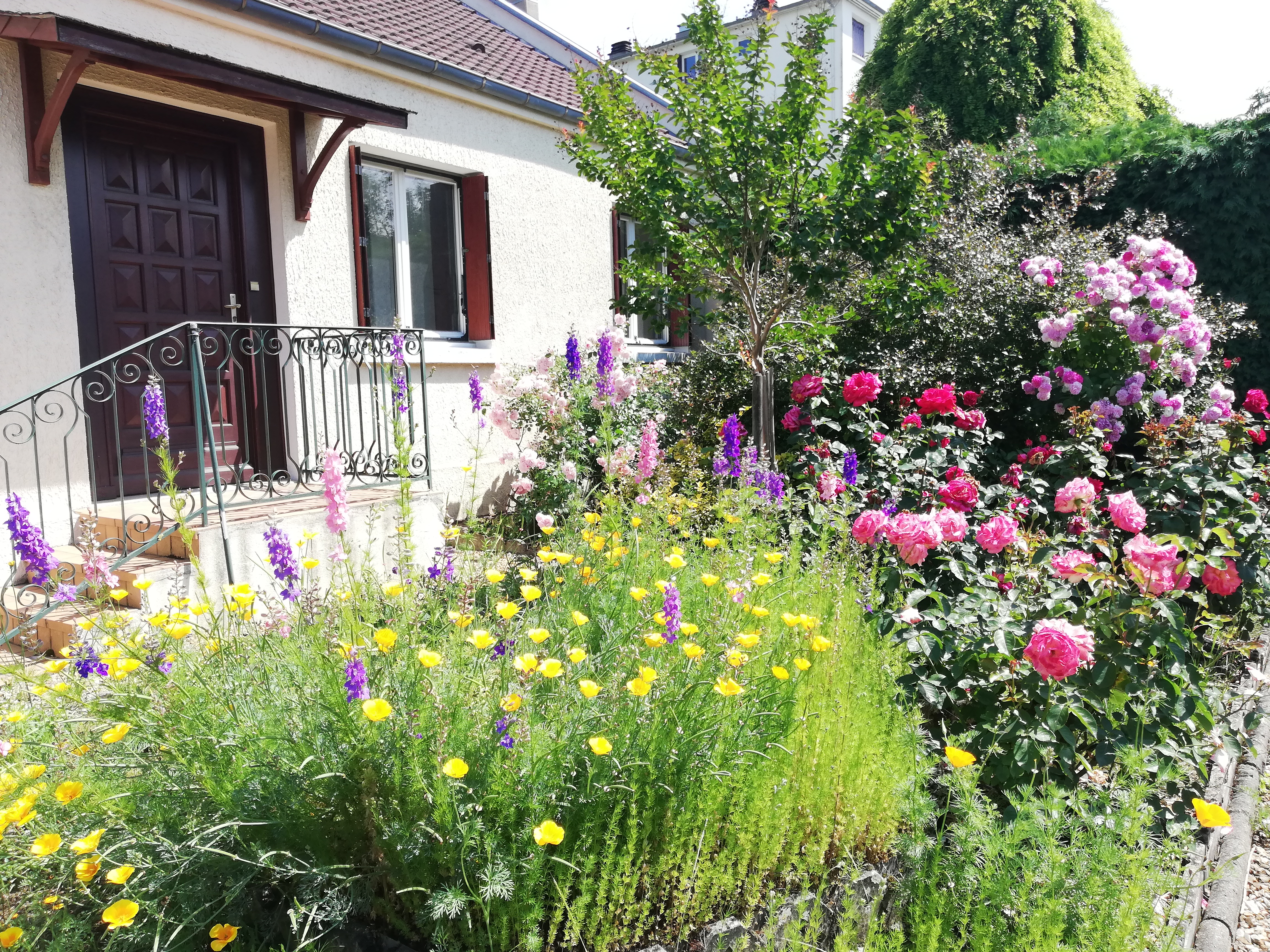 Les roses d 'Y...