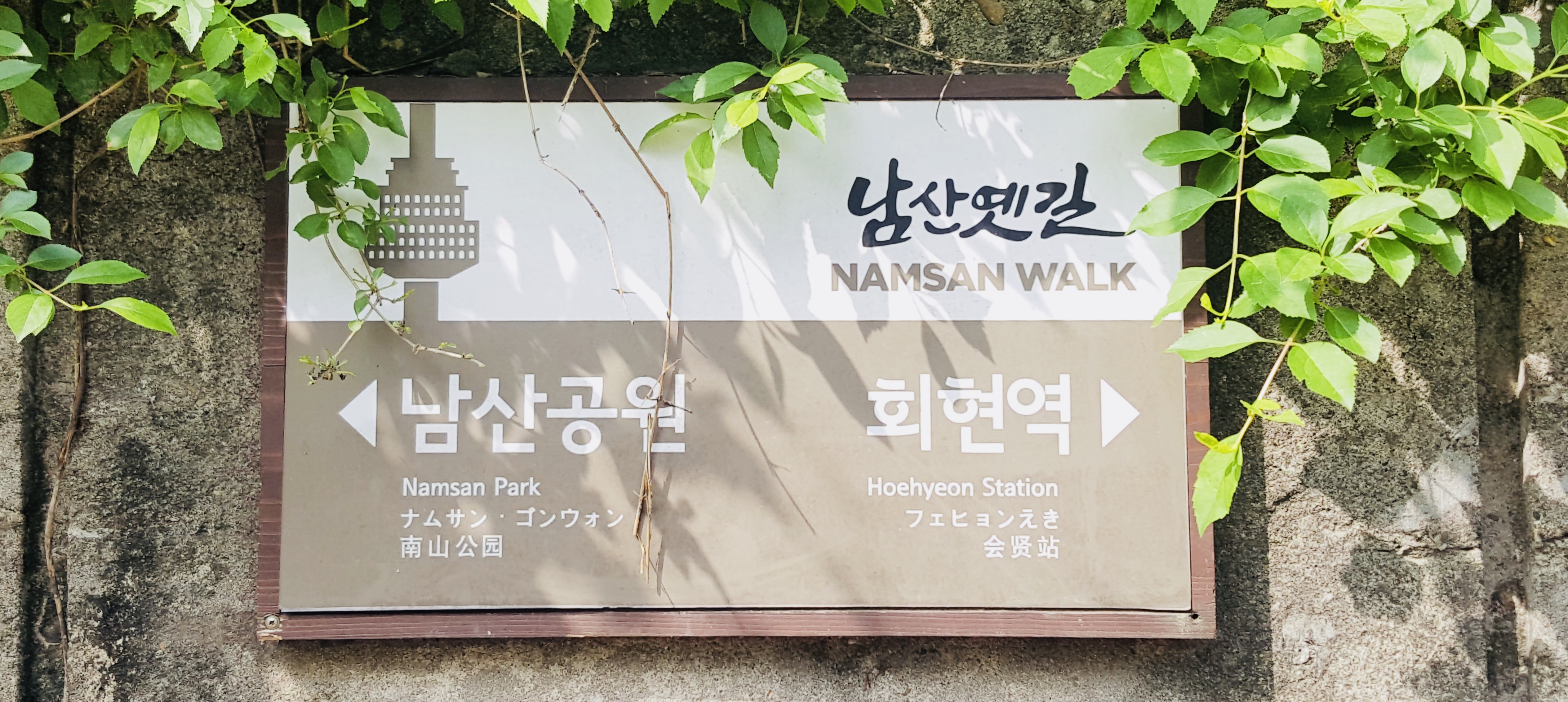 자가격리가능 Kstar Myeongdong 5min Twin 202 명동 明洞 Guesthouses For Rent In Seoul Jung Gu South Korea