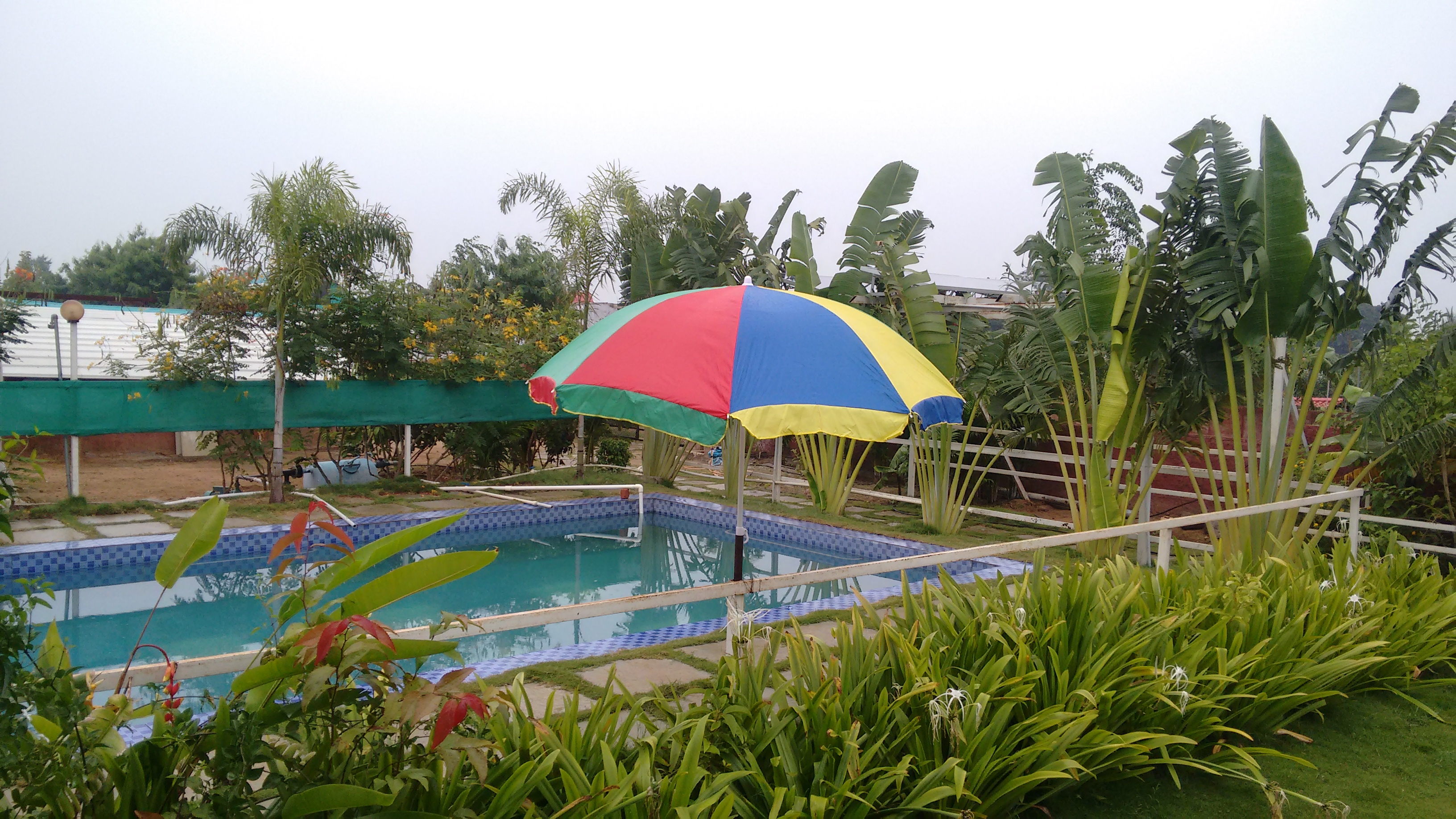 Farm House Stay Swimming Pool Near Hyderabad Houses For Rent In Hyderabad Telangana India