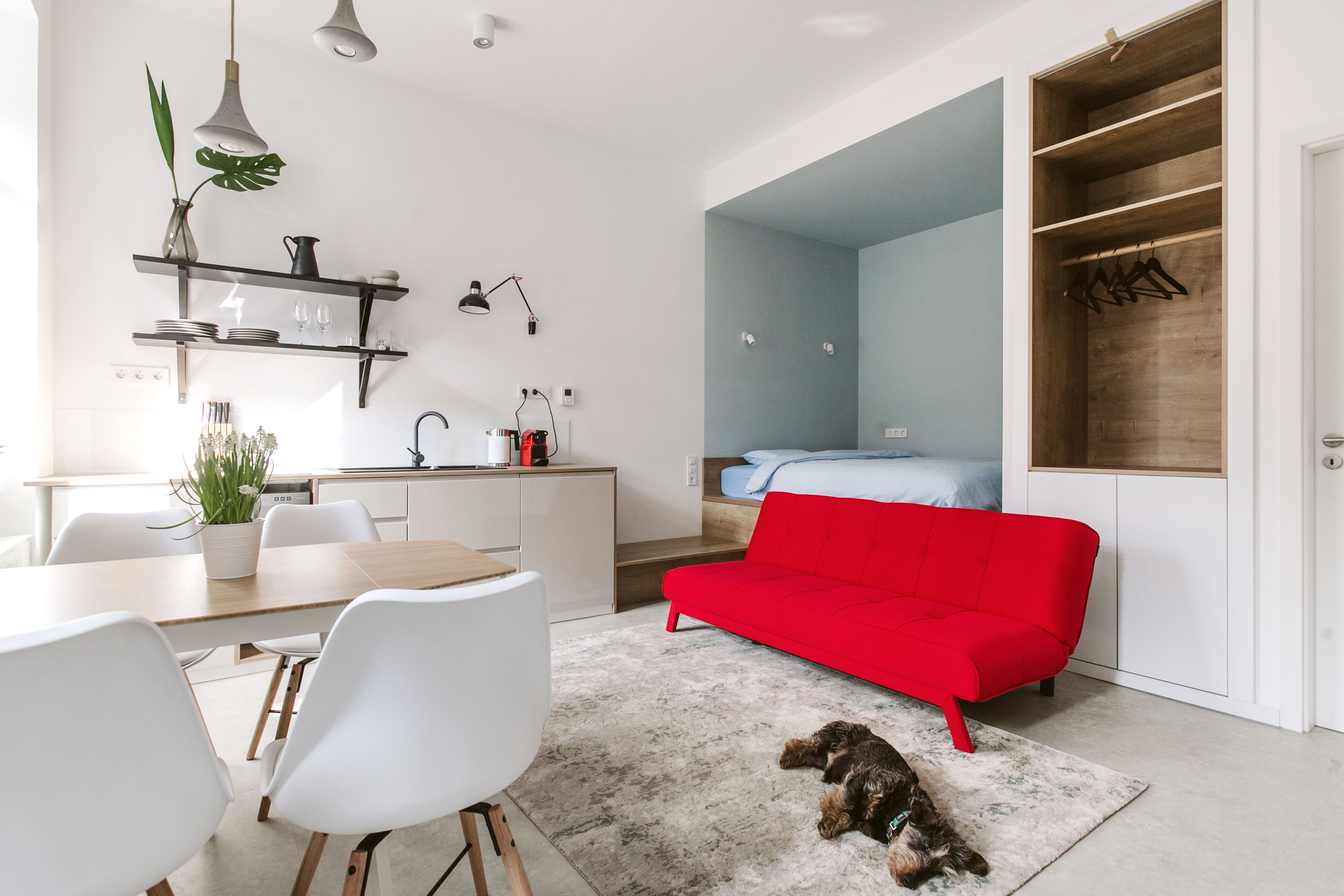 Luxury studio right downtown