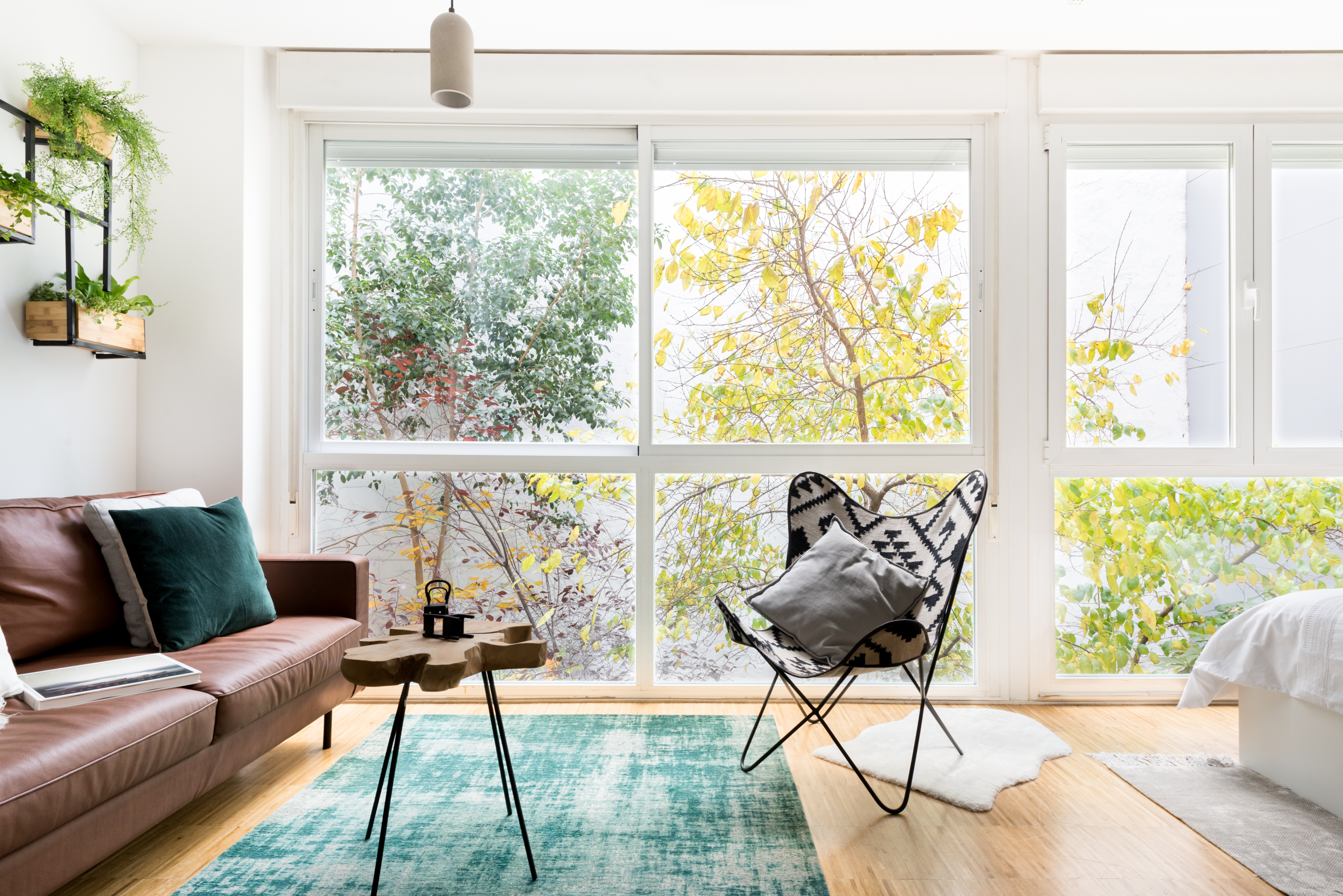Vine, Nature-inspired, Bright & Modern, Malasana