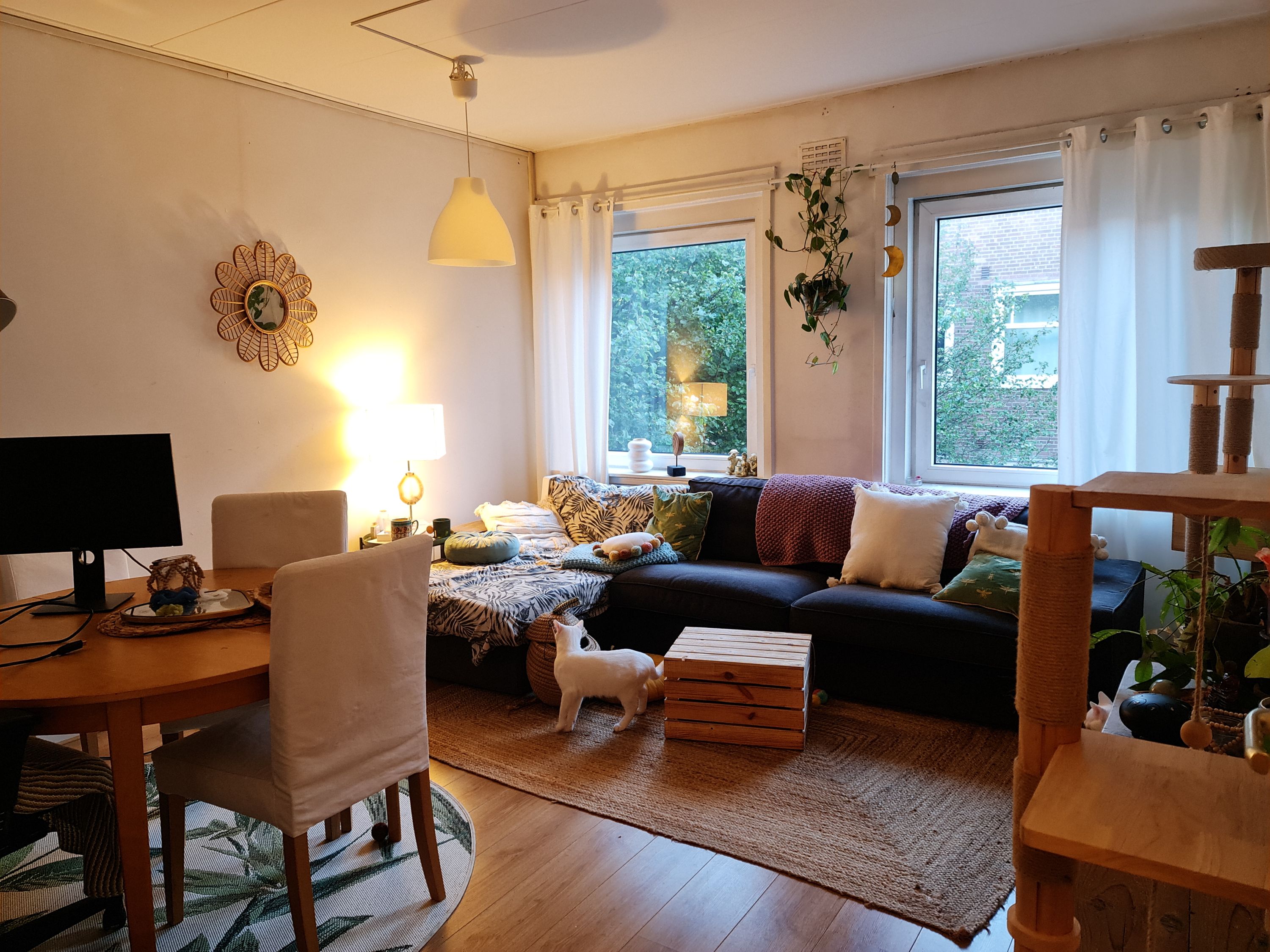 Cozy room to rent in the De Pijp โ Amsterdam stay