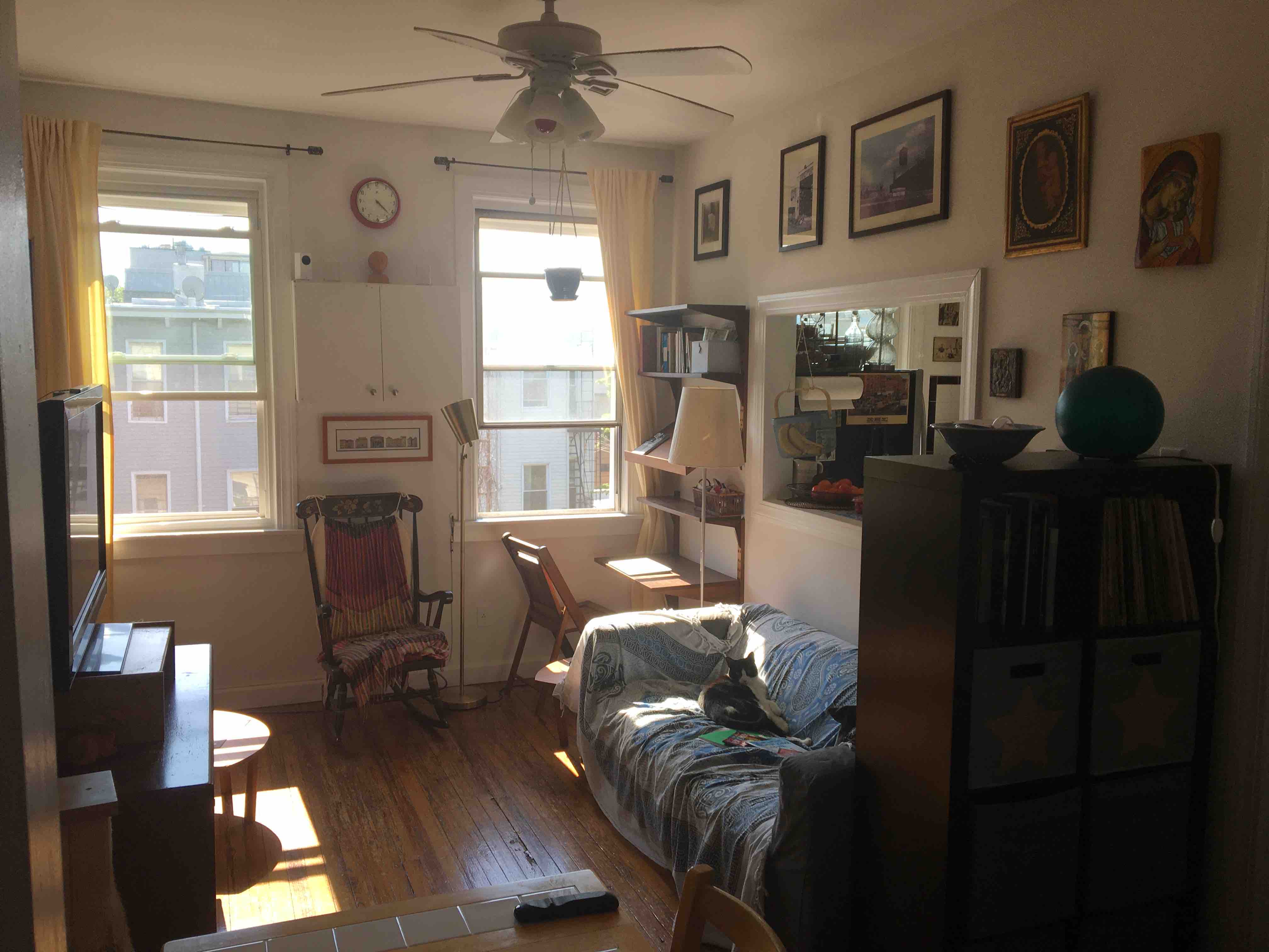 Greenpoint & Cats - Summer 2026 (Aug 5-Sept 2) in Greenpoint, New York City