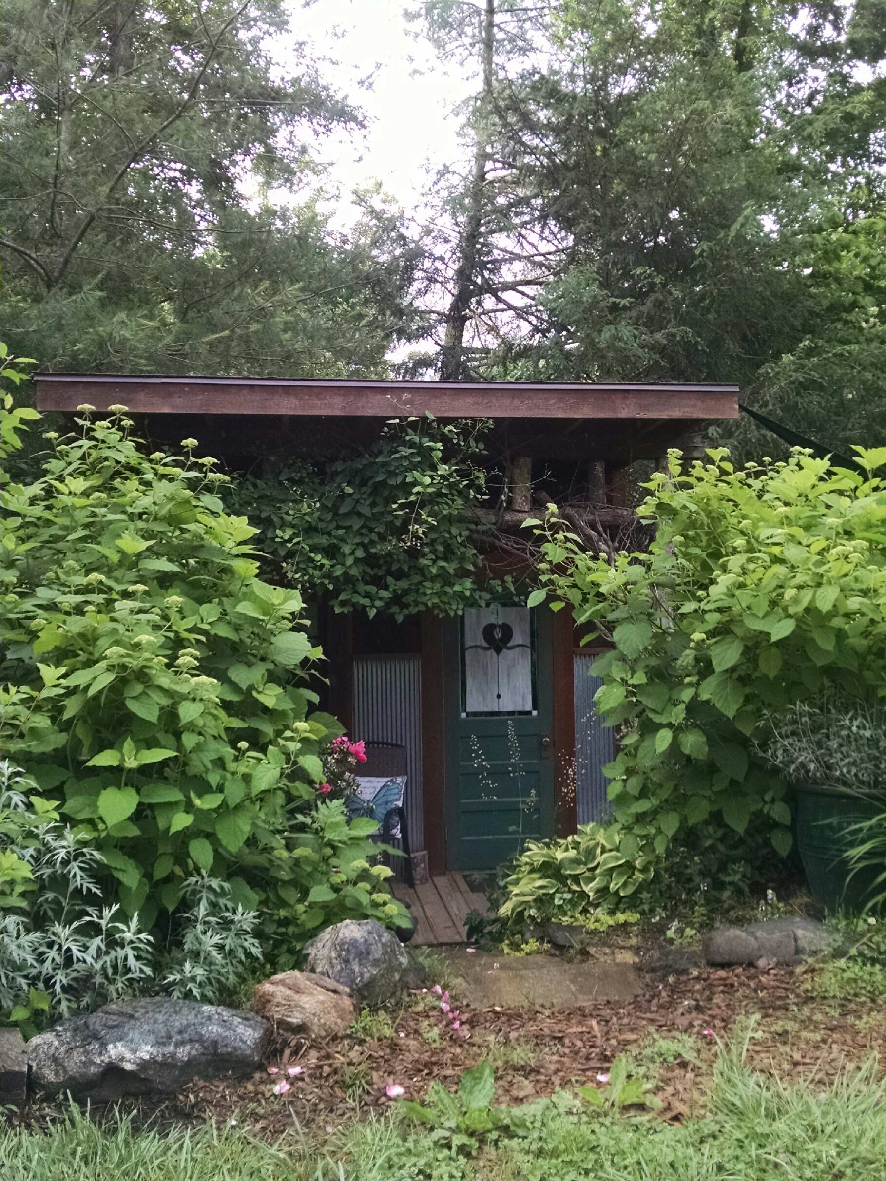 Iwanna Asheville Nc Homes For Rent - 53u20cu