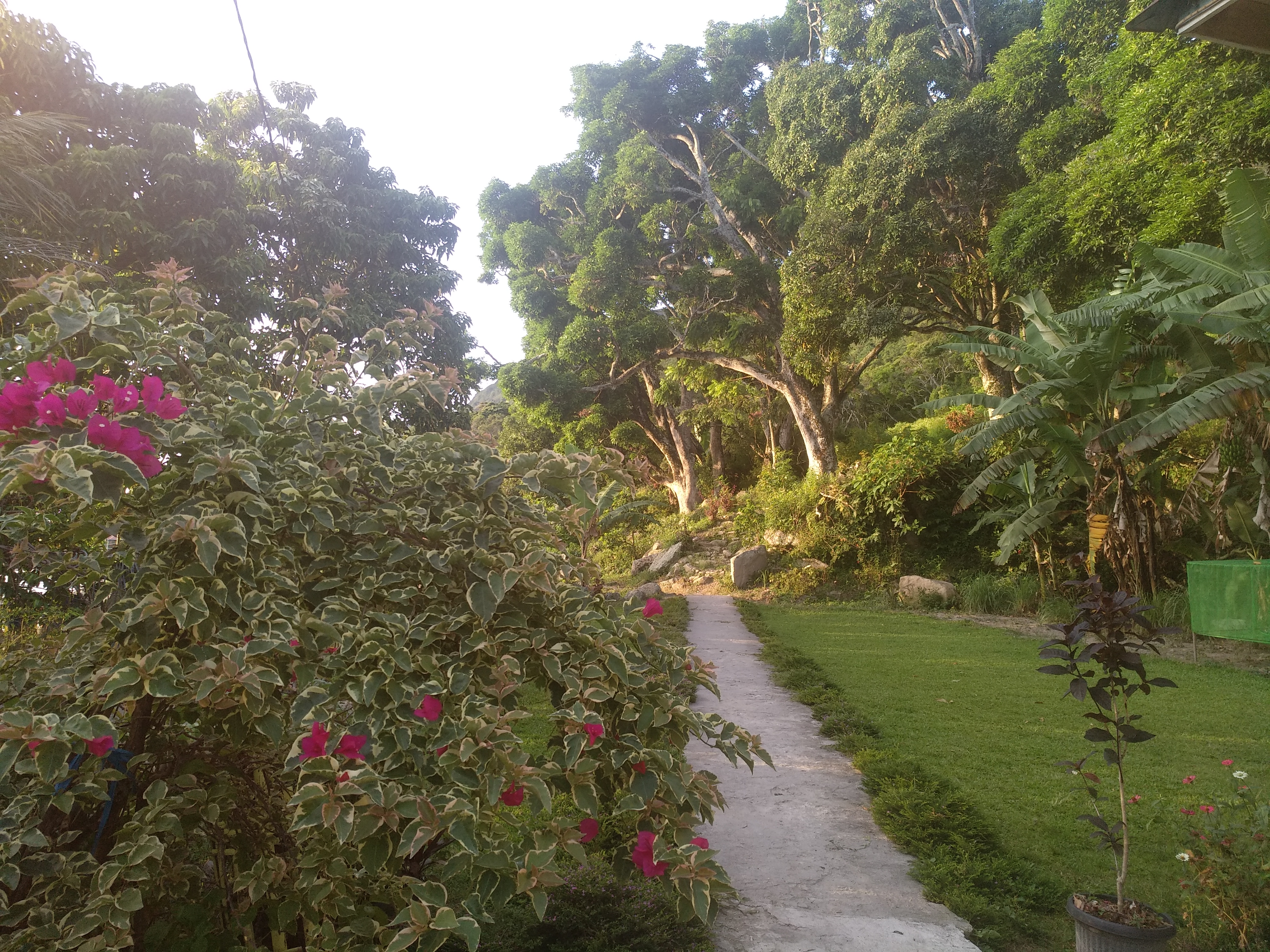 Farmstay In The Ecovillage Silimalombu Farm Stays For Rent In Onan Runggu Sumatera Utara Indonesia