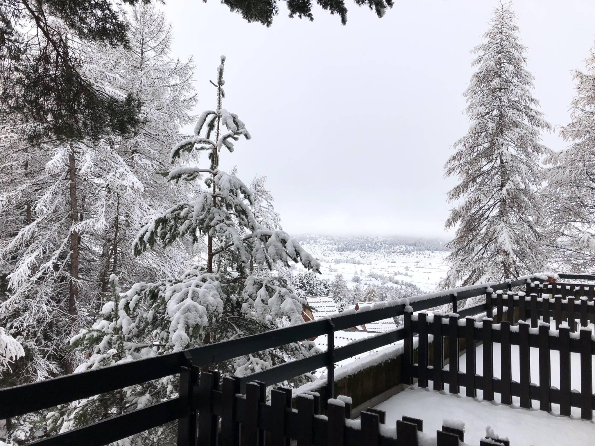 La Joue Du Loup  neige et Soleil  4 sleeps +