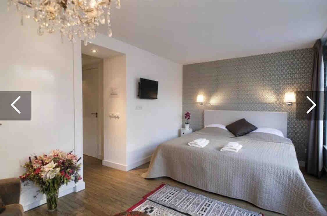 Purple Tulip Studio in the Heart of Amsterdam โ Amsterdam stay