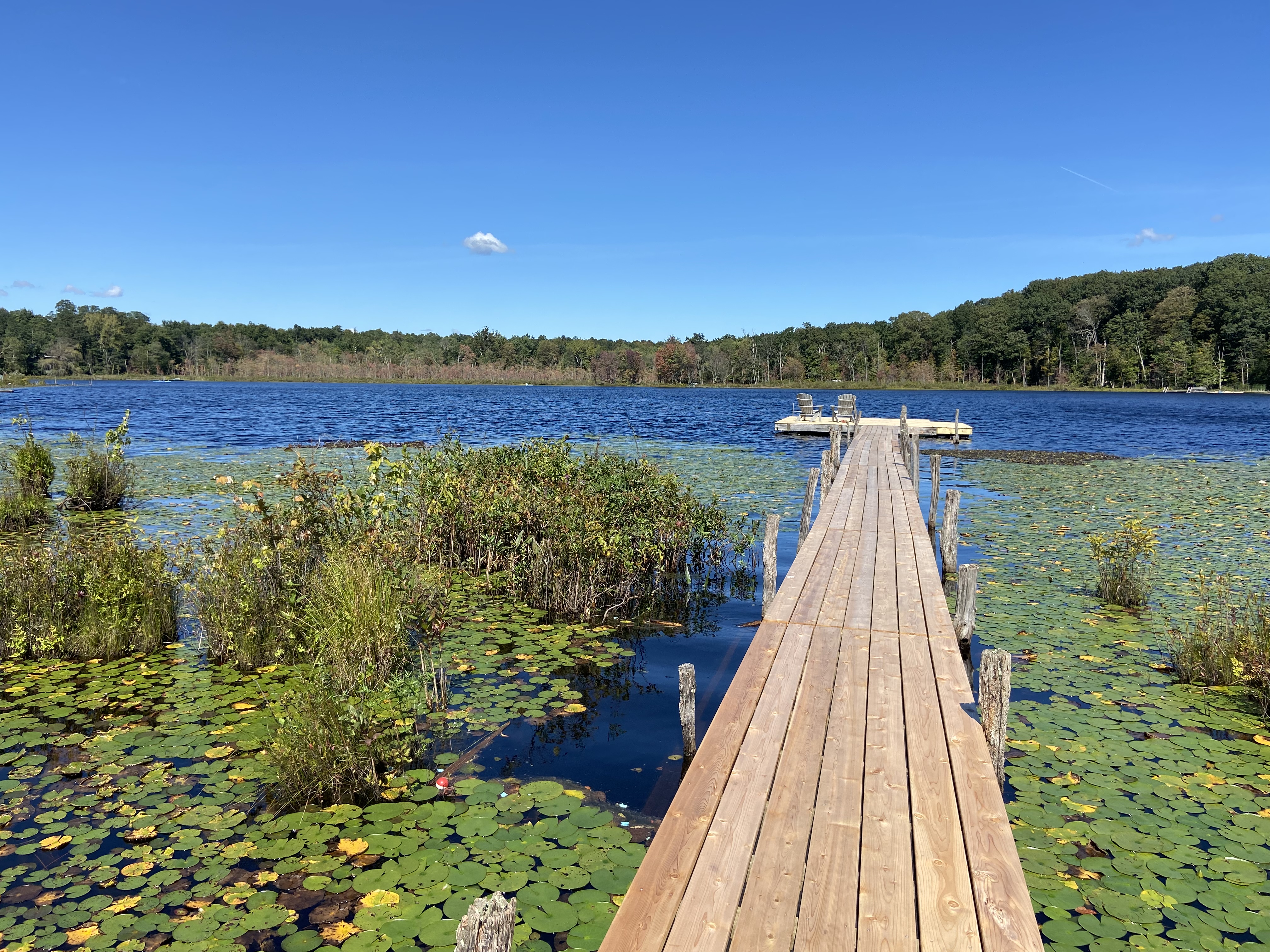Enjoy life on a lake, 90 mn from NYC privacy