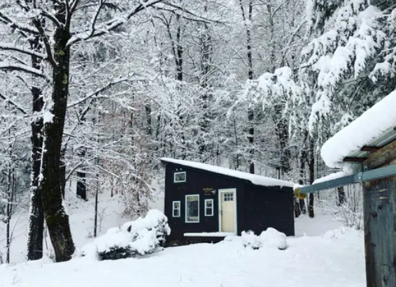 Cozy Tiny House Cabin between Burlington and Stowe Tiny