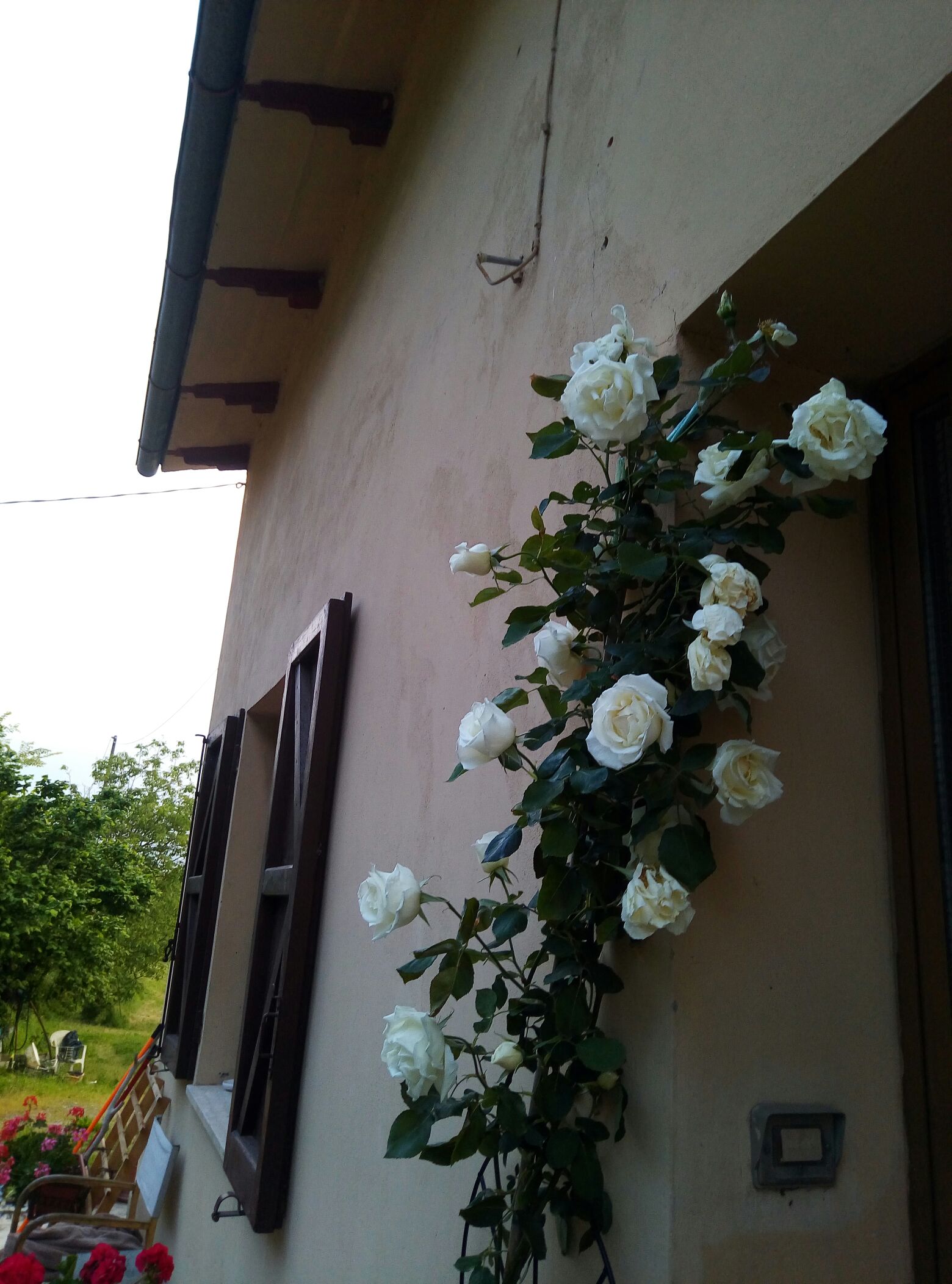 Tosa Curved River House