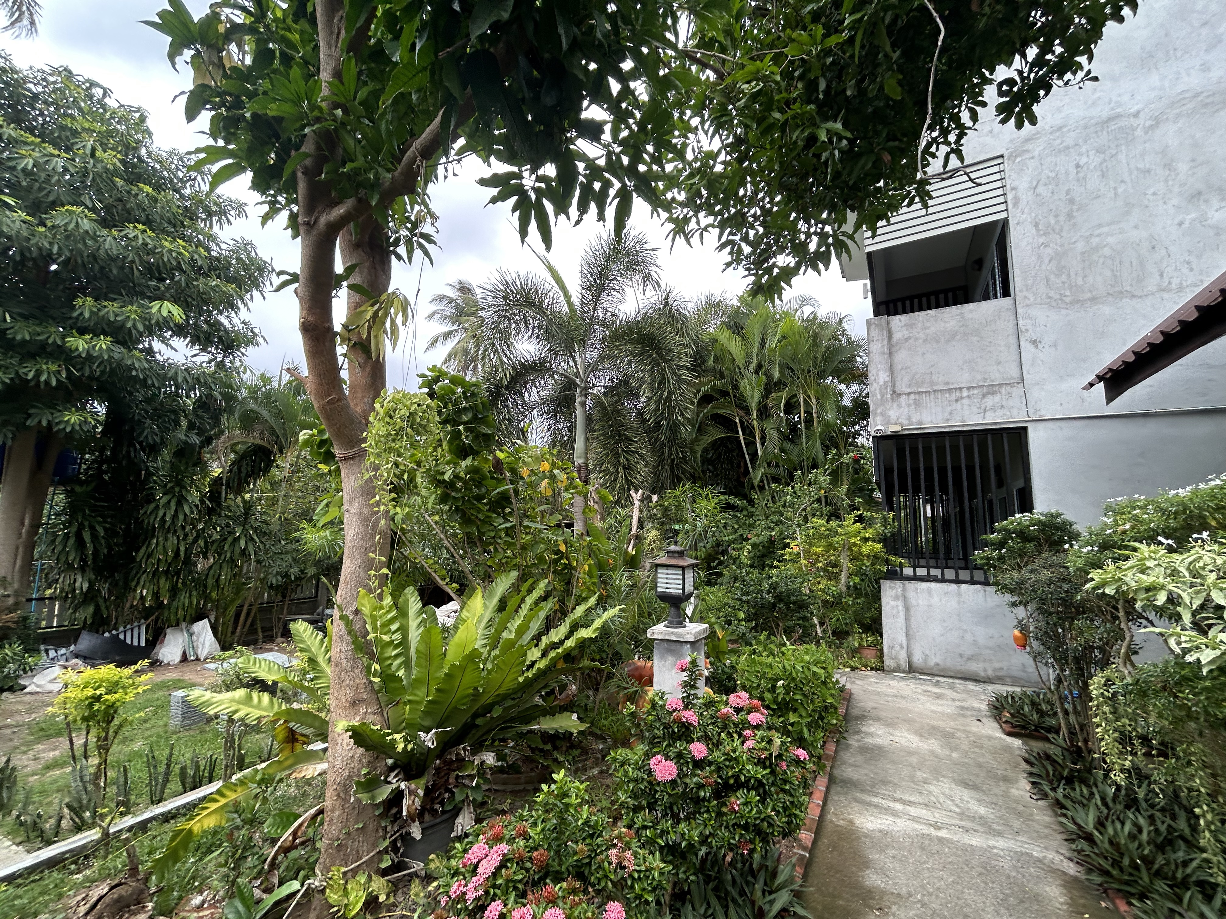 Baan Suan Deluxe KT