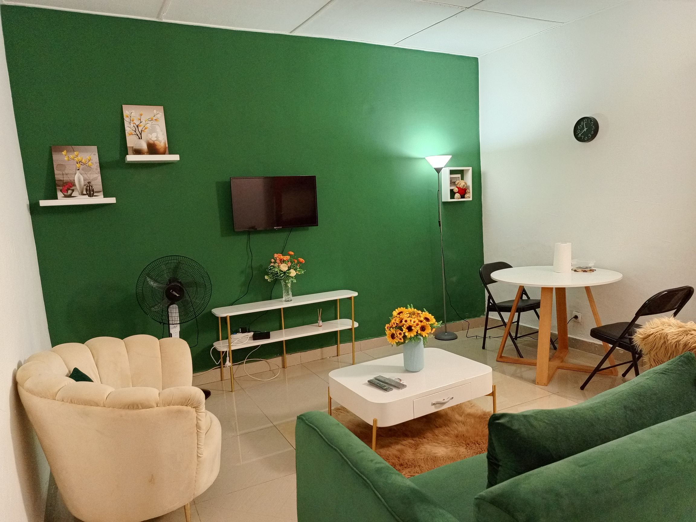 Luxury furnished apartment