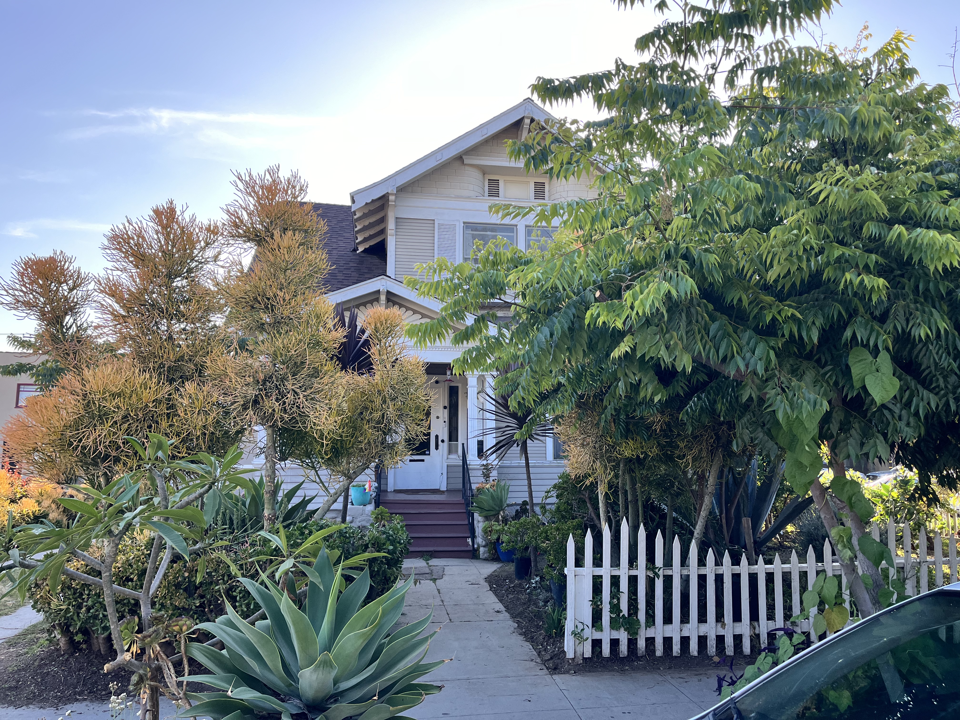 Huge Room in Historic LBC Craftsman