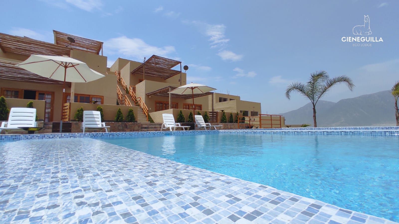 Come and relax!