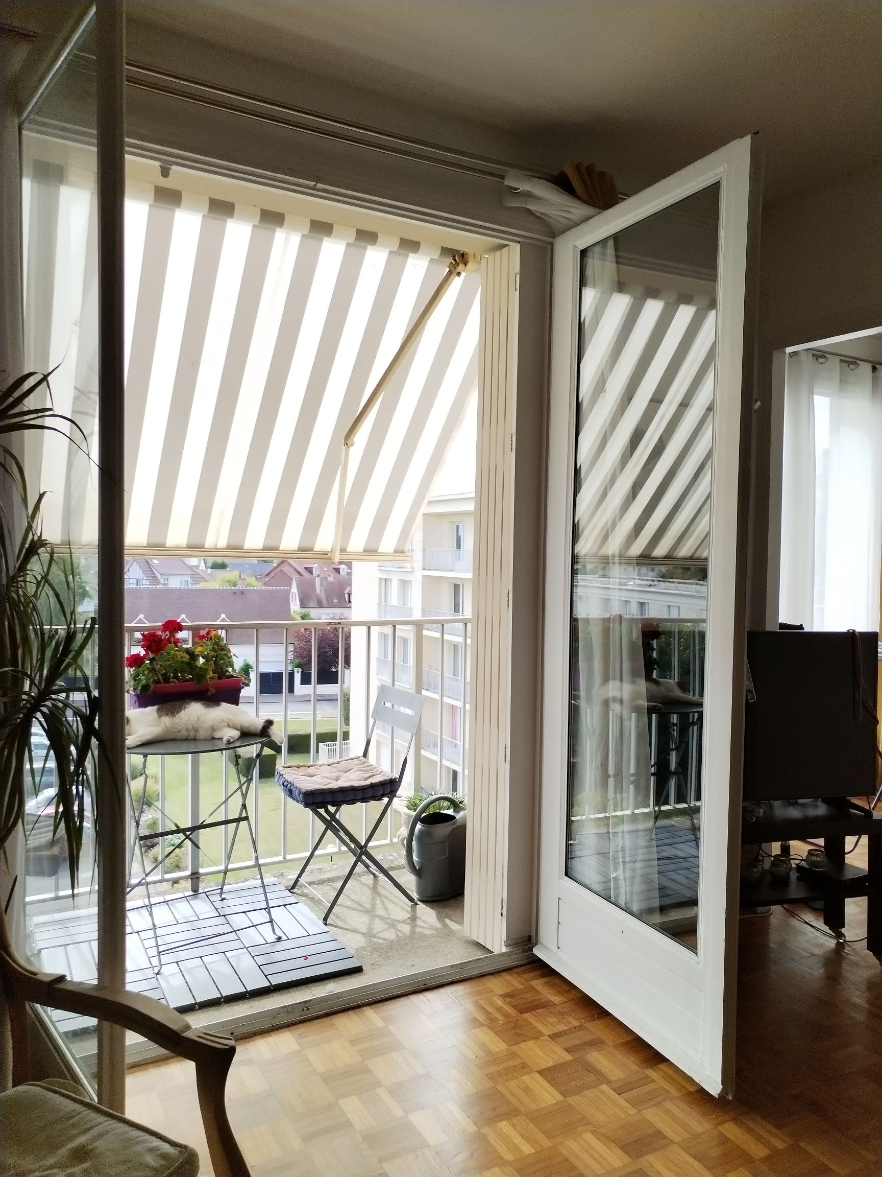 Charming apartment 500m racecourse - city center