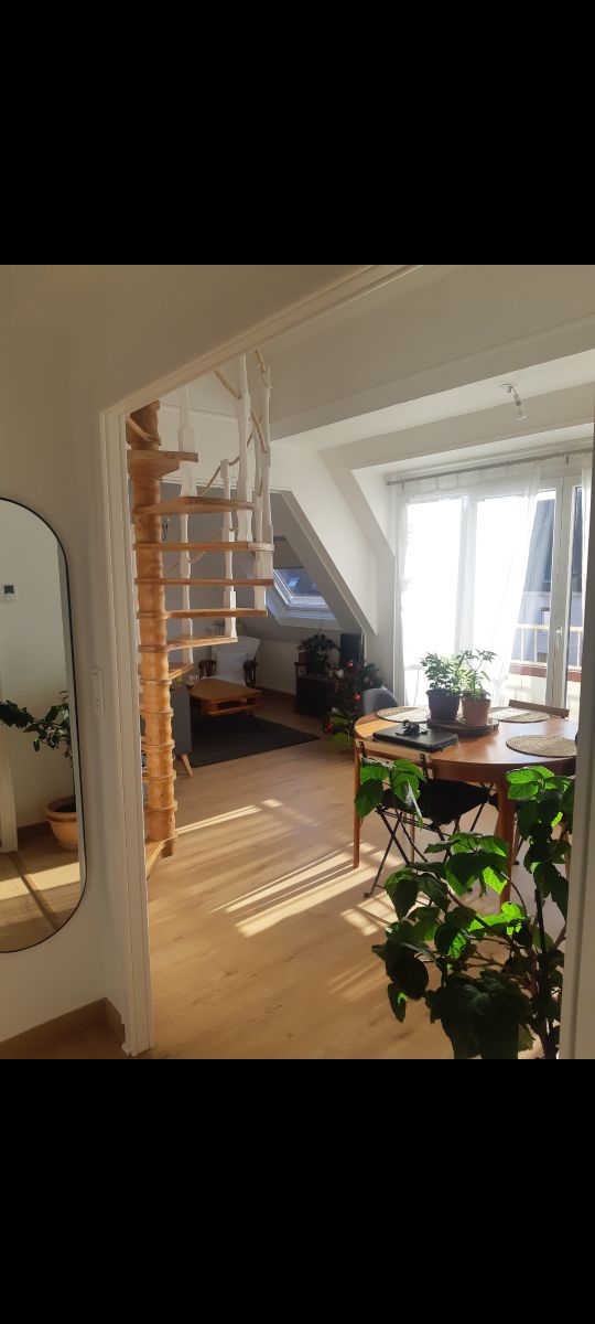 Quiet and bright apartment