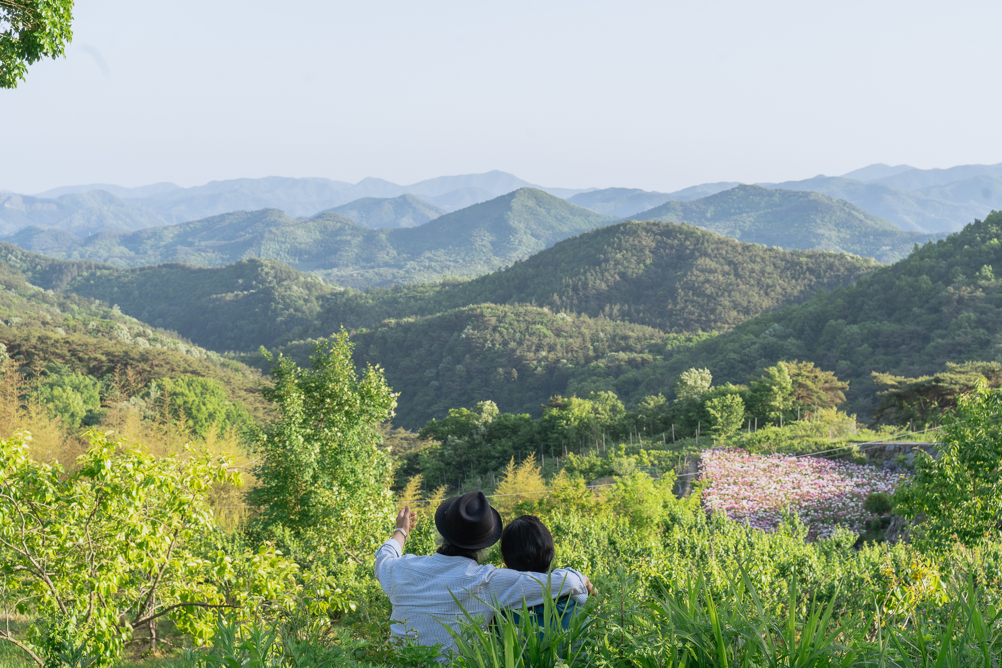 For everyone in need of healing, Forest Inn Seungju [Artist's Room]