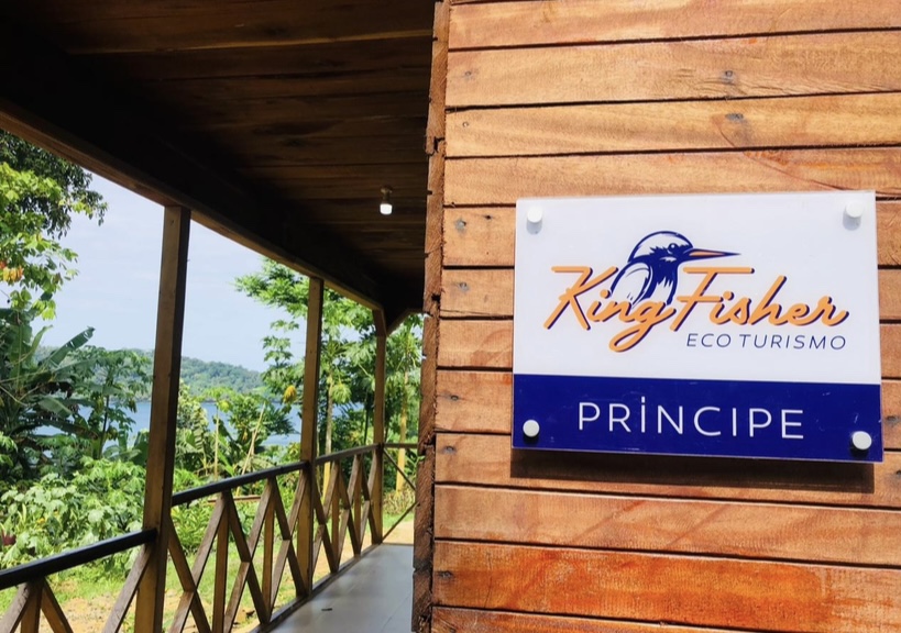 Kingfisher- Principe