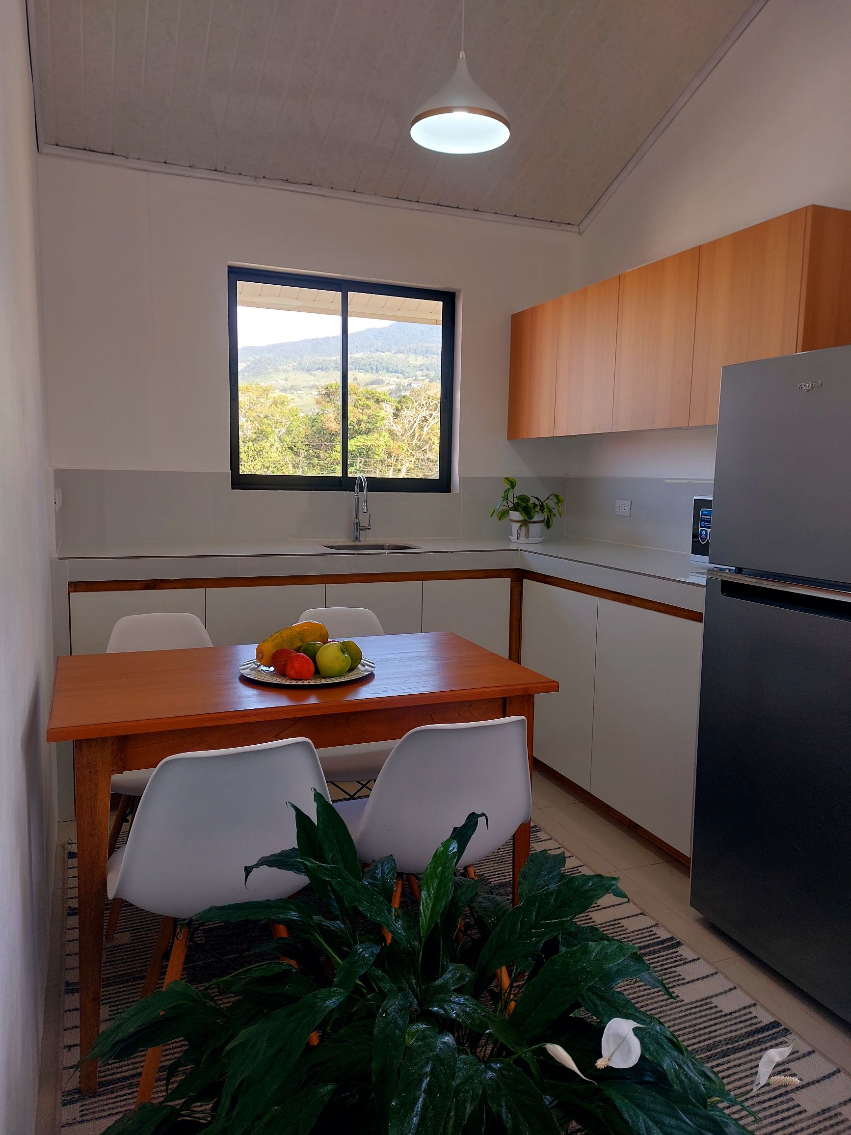 Beautiful quiet insurance views of Platanar A/C