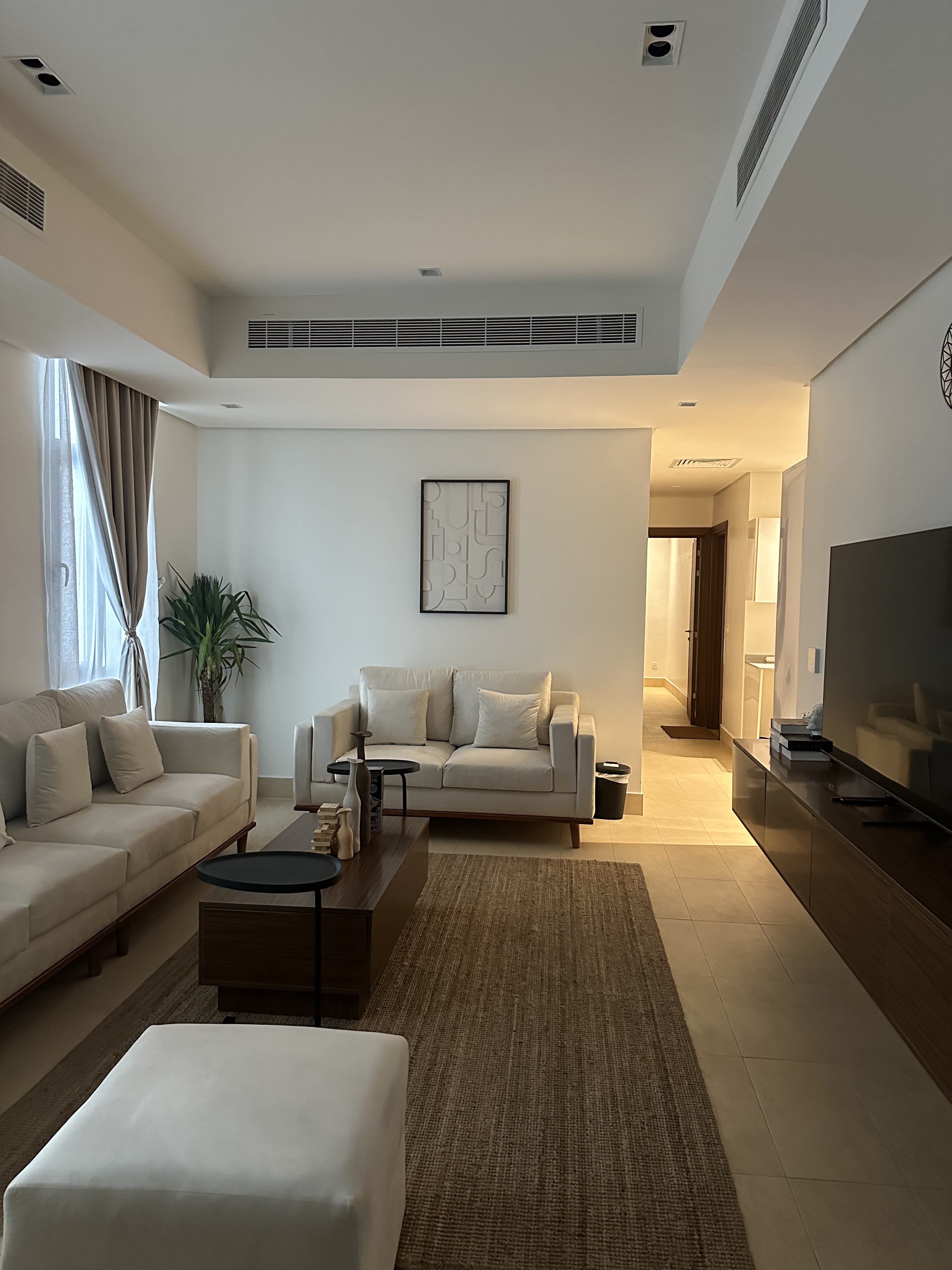 Comfortable Apartment with a modern design