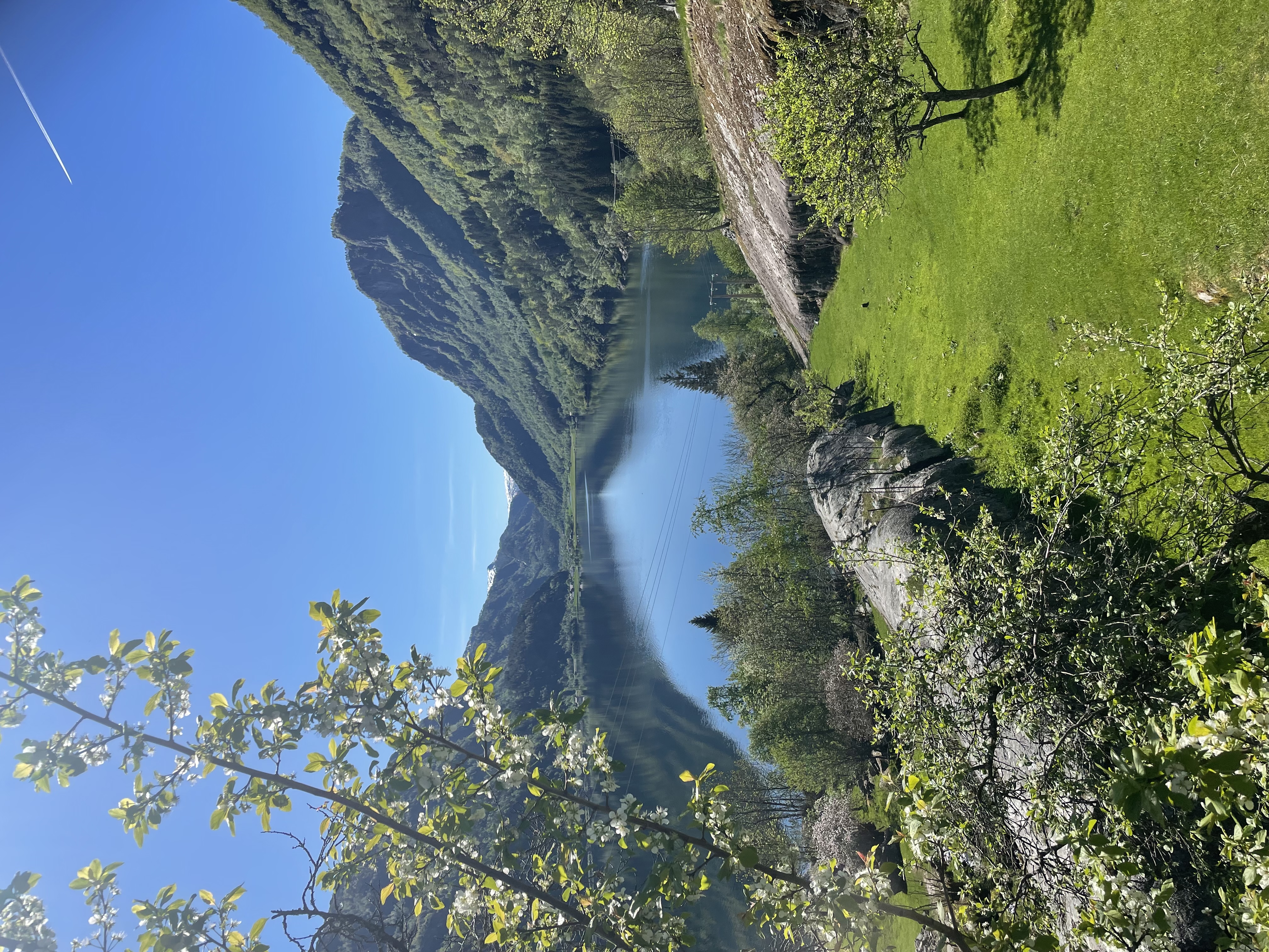 Basement apartment surrounded by beautiful nature