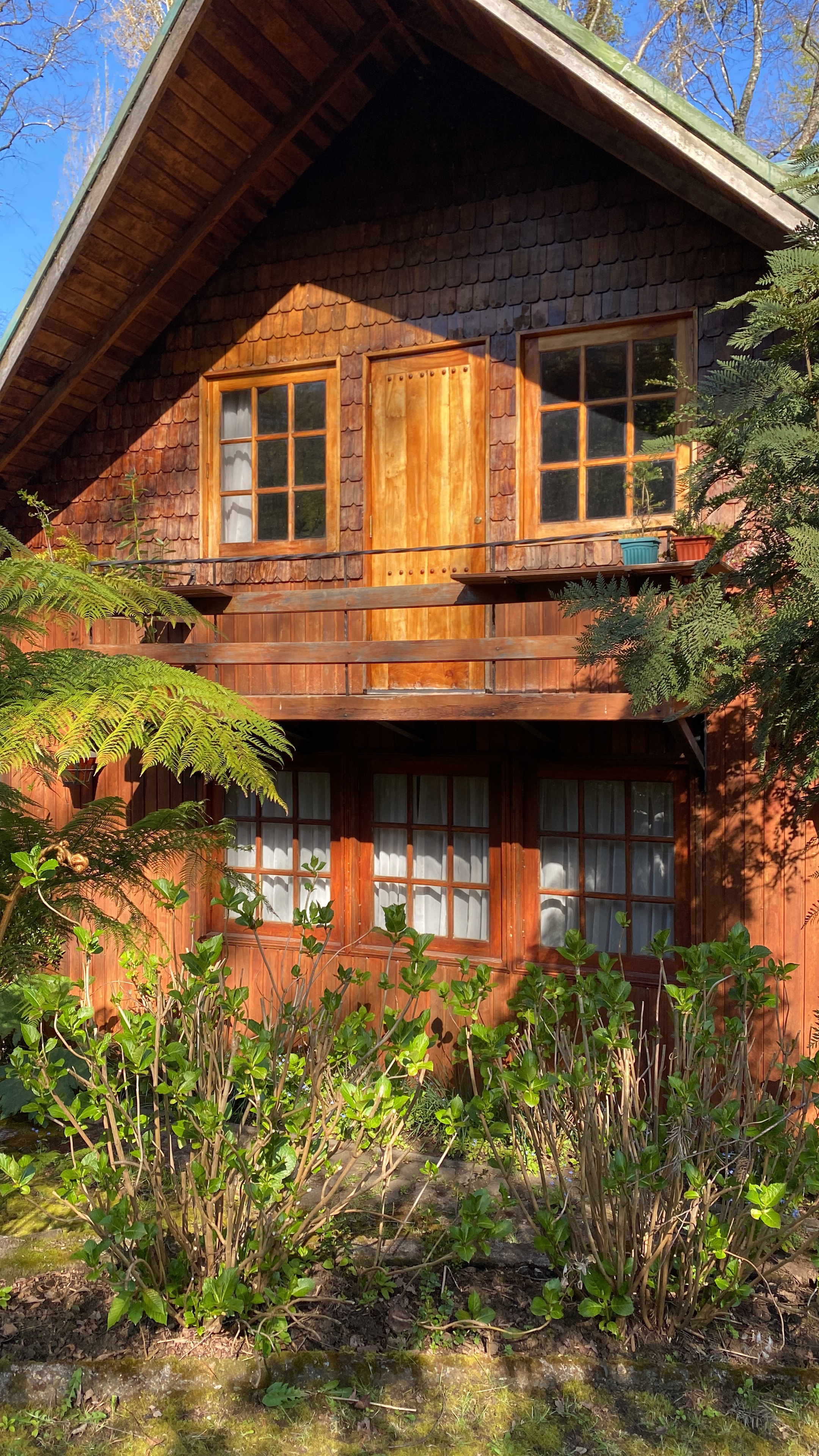 Midvolcanian cabins