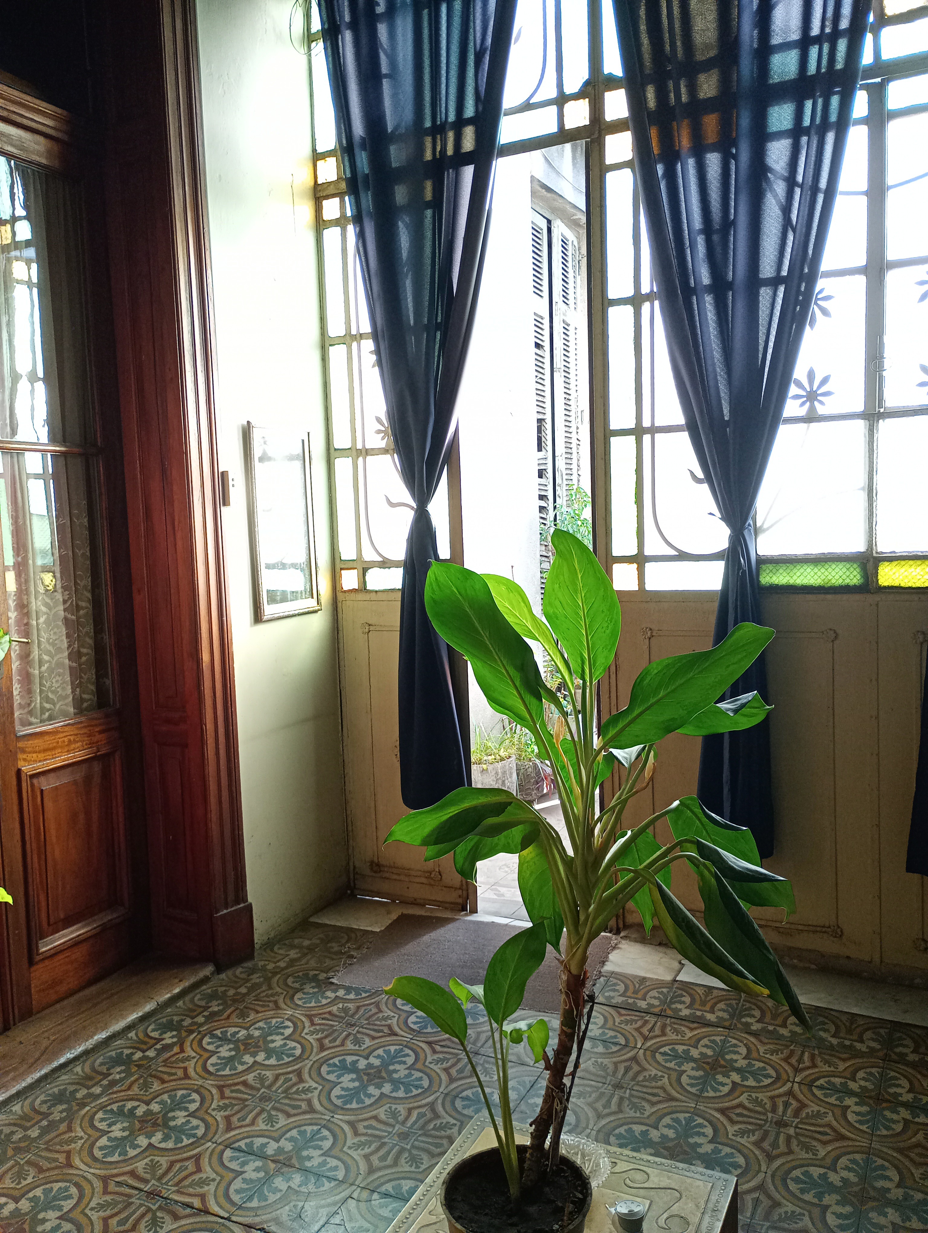Habitación con balcón in Floresta, Buenos Aires