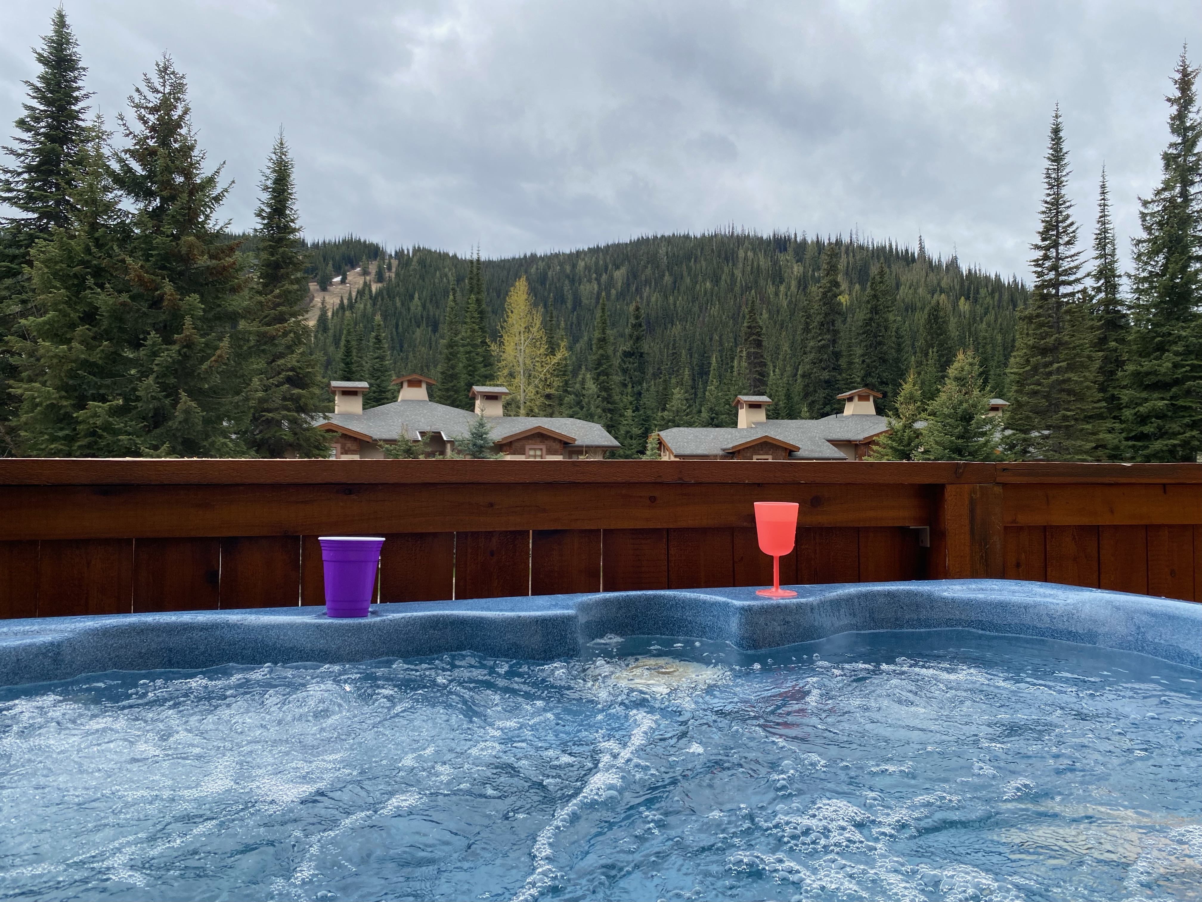 Ski in Ski out •Hot Tub•Pet Friendly•BBQ