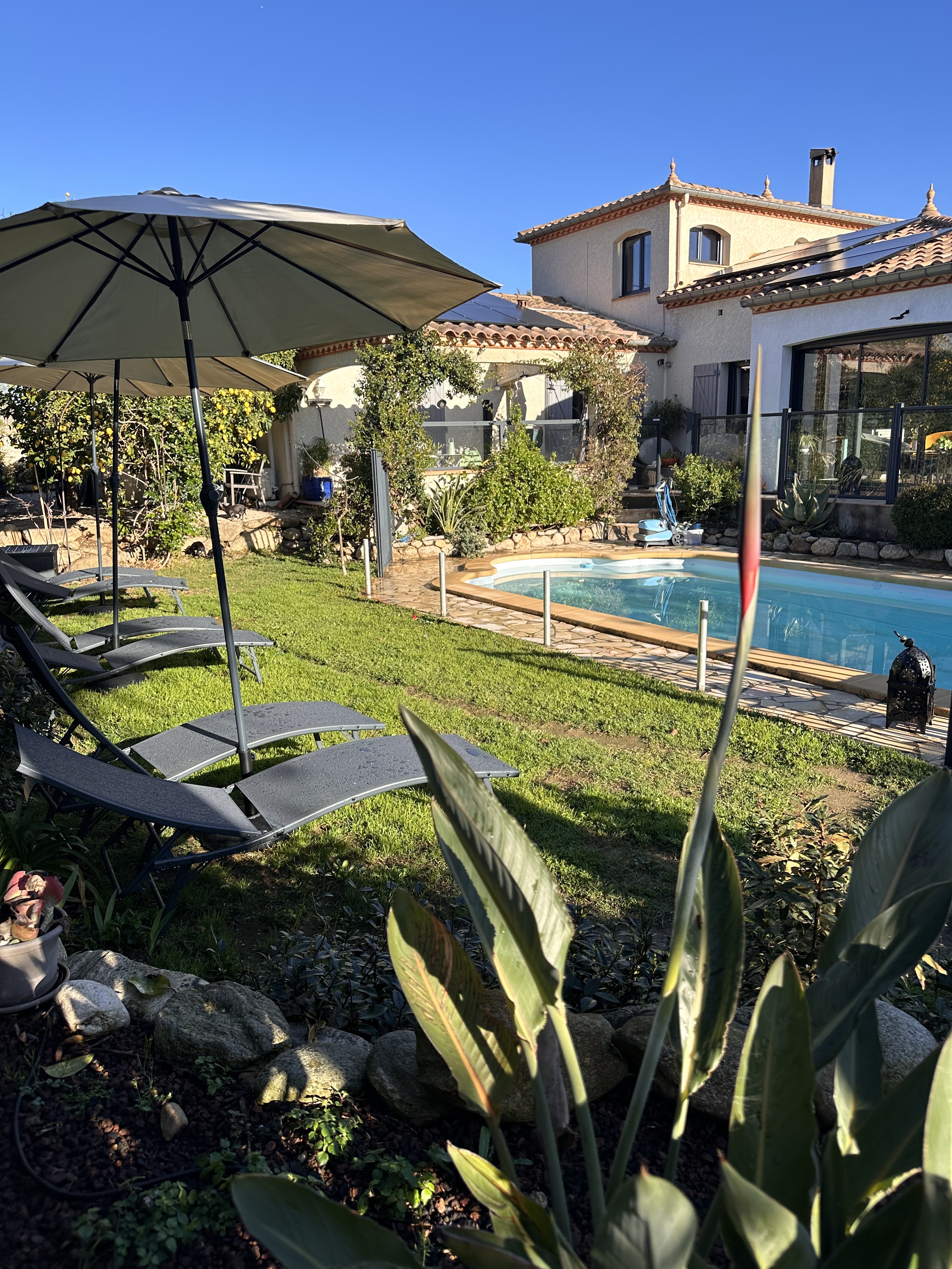 olive tree villa