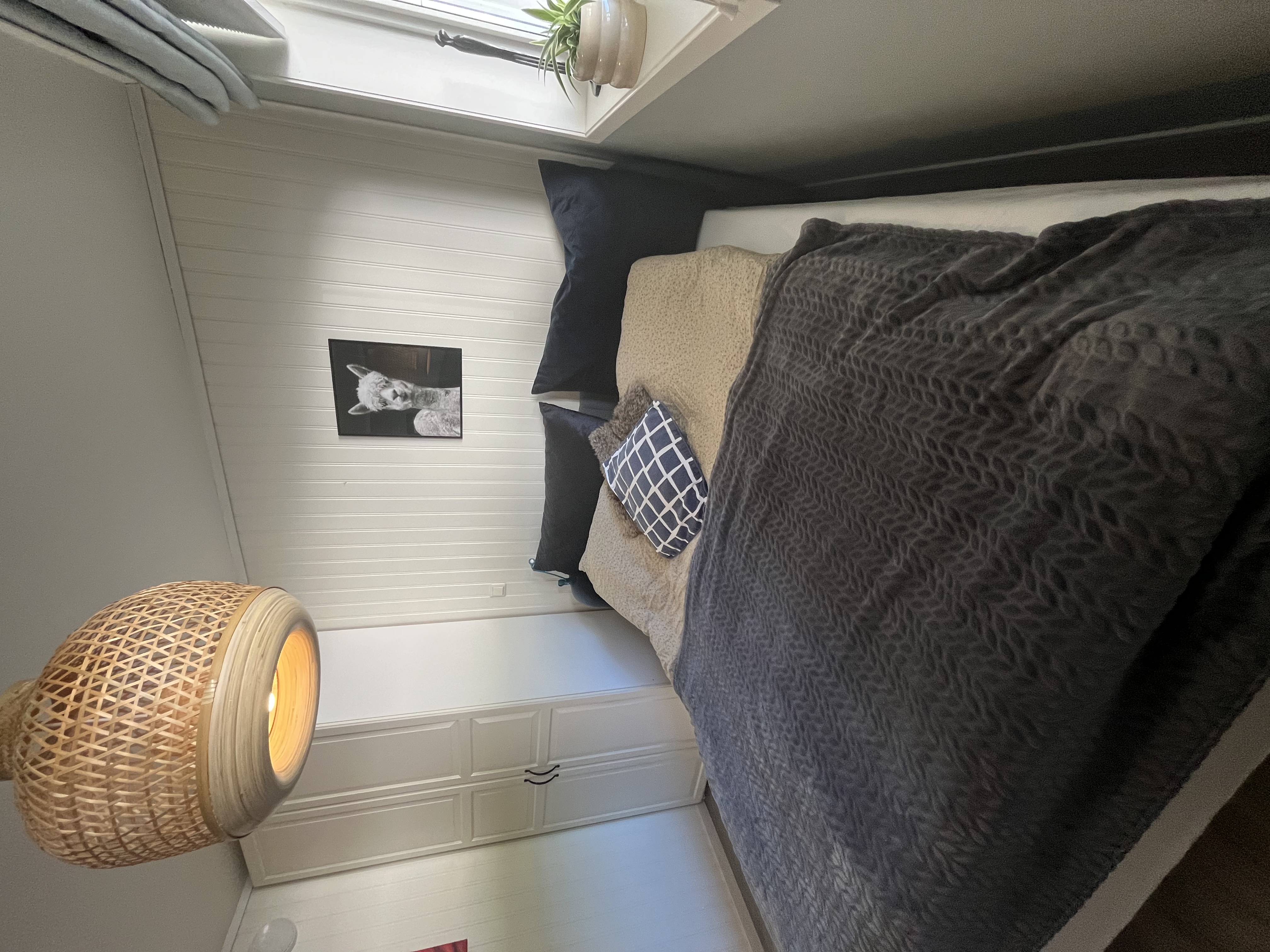cozy 1 bedroom apartment!