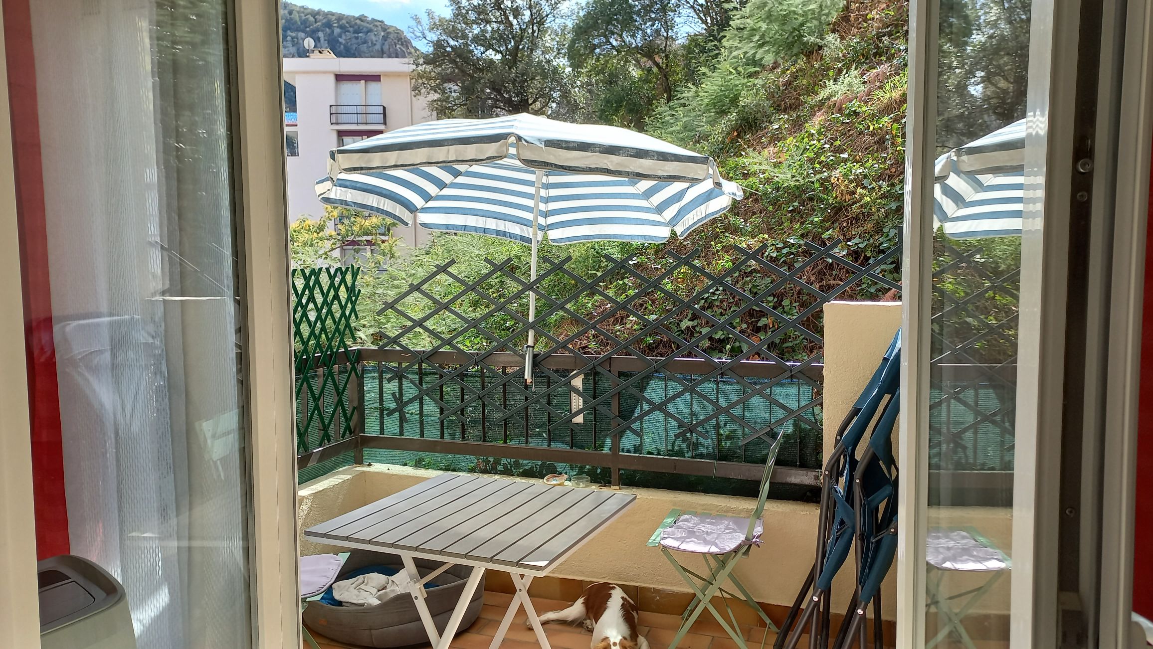 comfortable studio 26m²
