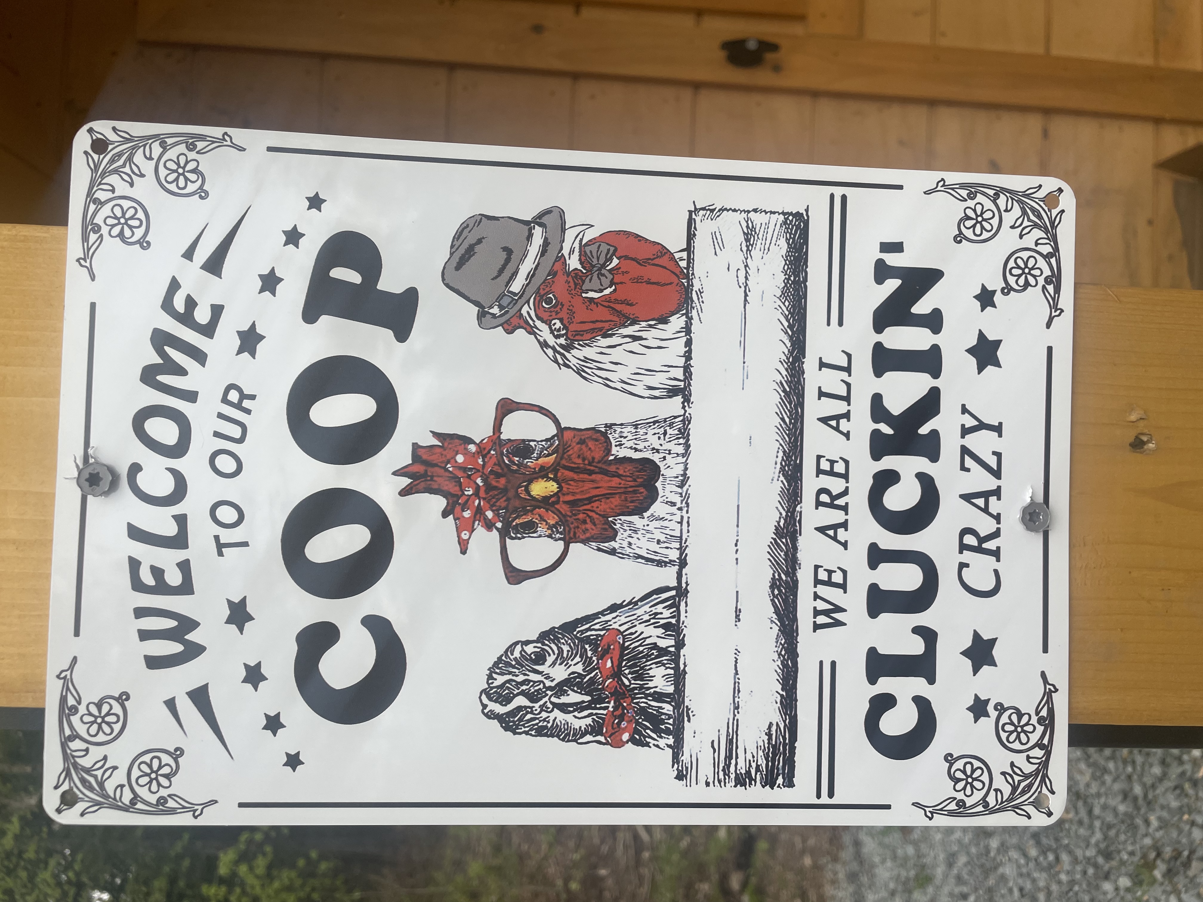 Roscoe Coop clucking crazy Hut