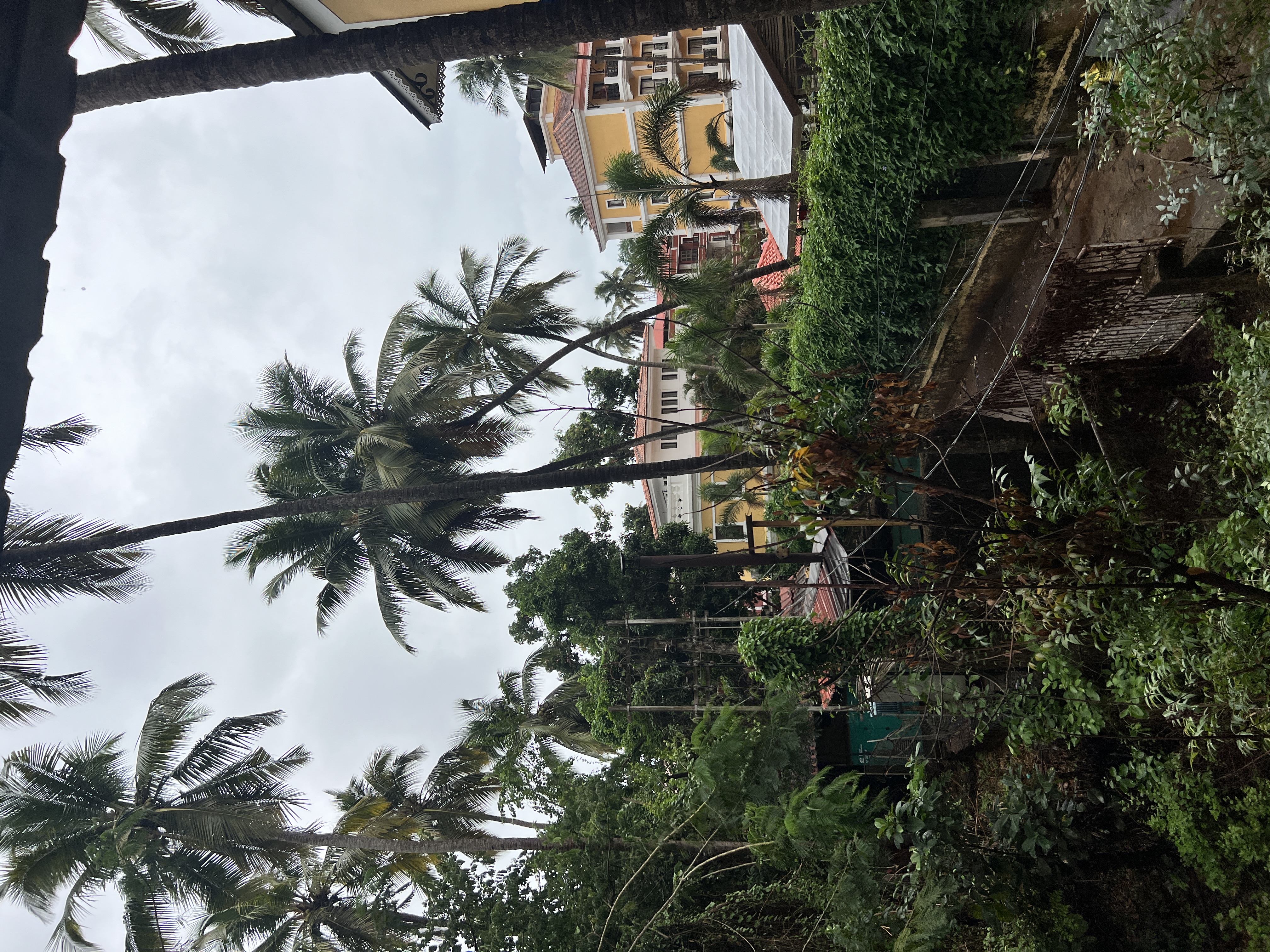 Cozy Studio apt in candolim | 4 min from beach